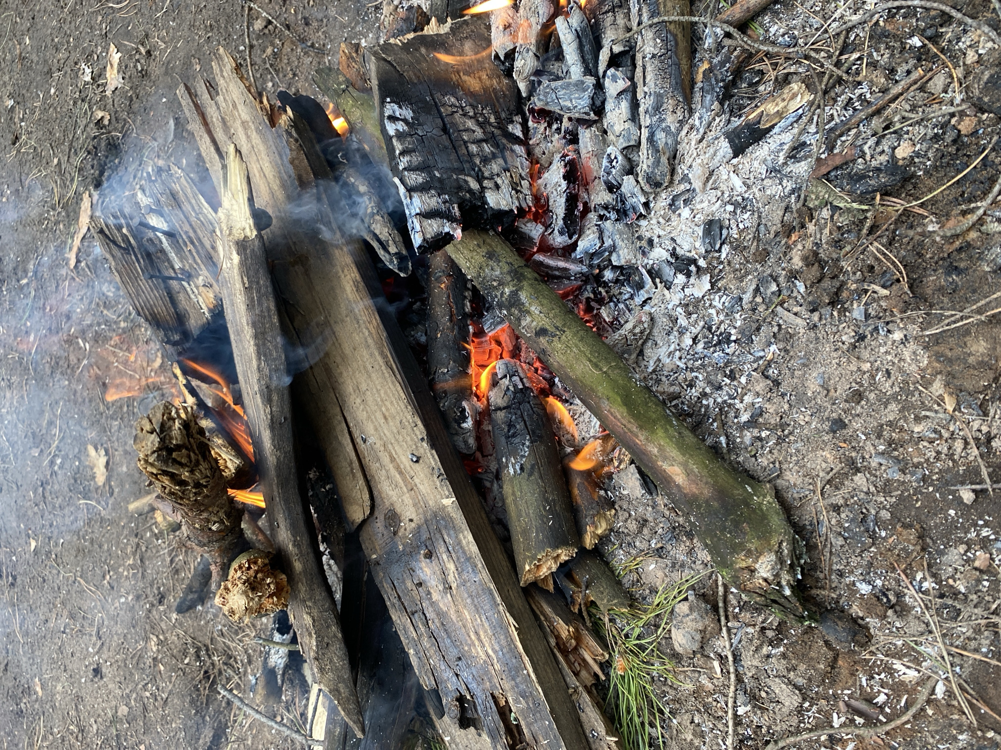 This image presents an overhead view of an active campfire, set on the earthy ground in an outdoor environment, likely a wooded area near Chaikovsky, Russia. The fire is composed of numerous pieces of wood in various stages of combustion, ranging from freshly added logs and planks to charred remnants and glowing embers.
Orange and red flames flicker from within the pile of wood, particularly vivid in the central and right-hand sections, indicating ongoing burning. Wisps of light white smoke rise from different parts of the fire, especially from a splintered piece of wood on the left, suggesting a constant process of ignition and smoldering. A large quantity of fine white and grey ash, the residue of burnt wood, is spread around and within the fire pit, intermingled with black charred wood fragments.
The logs and branches display diverse textures; some appear damp or moss-covered, like a greenish branch extending into the embers, while others are dry, cracked, and split. The ground surrounding the fire consists of dark soil and dirt, scattered with natural debris such as dry brown leaves, thin twigs, and green pine needles. The overall lighting suggests it is daytime, possibly late morning or early afternoon, with no harsh shadows. The clear definition of smoke implies calm weather conditions. There are no people, man-made objects, or visible text in the scene, highlighting the natural setting of the campfire.