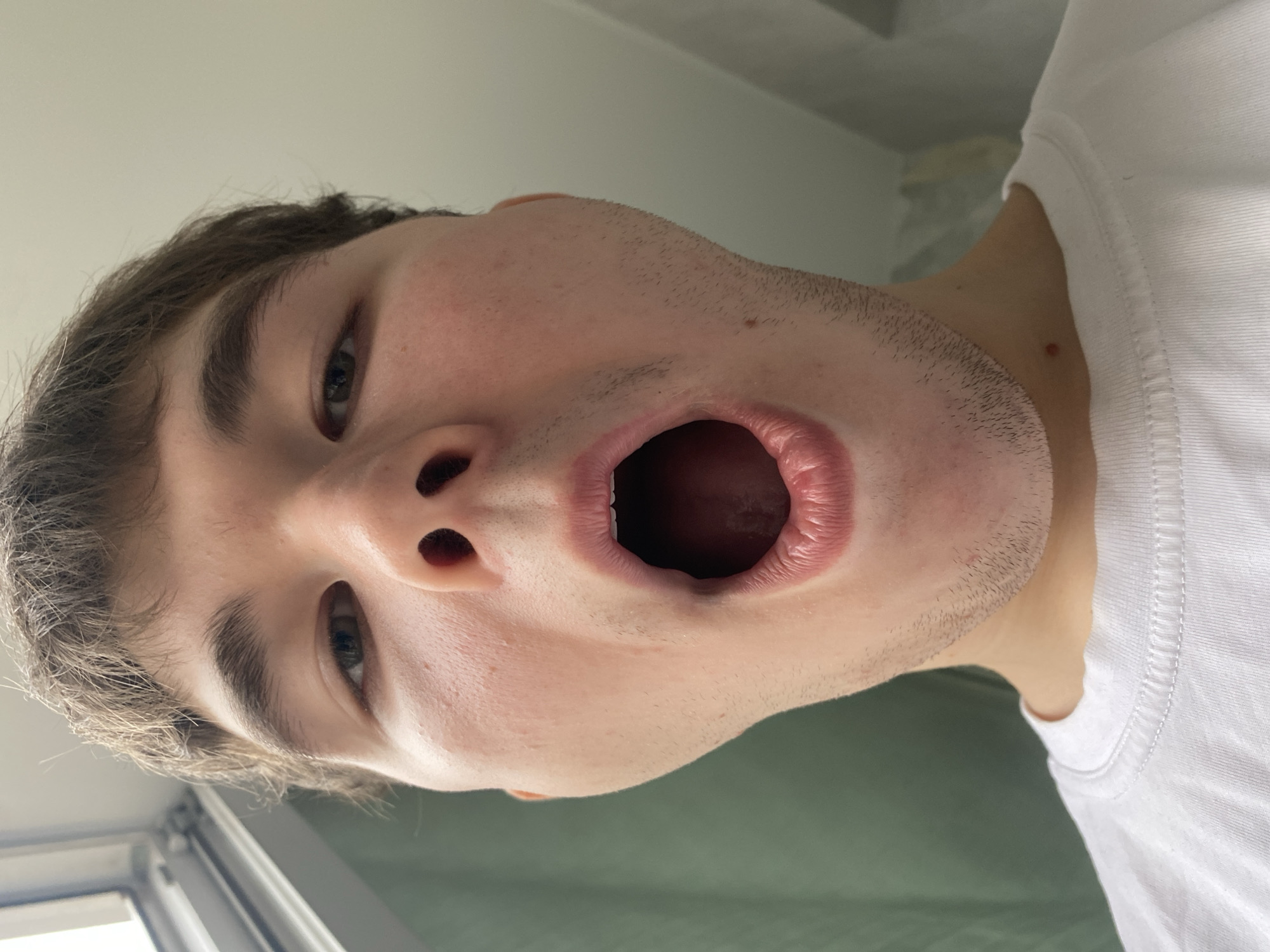A close-up, low-angle perspective of a person's face with an open mouth. The person is fair-skinned with brown hair. The viewpoint is below the subject, looking up into their nostrils and open mouth. The person is wearing a white t-shirt. The background is out of focus, showing a light-colored wall and a hint of green. The location is unknown and there is no indication of the city of Pervomaysky, Russia.