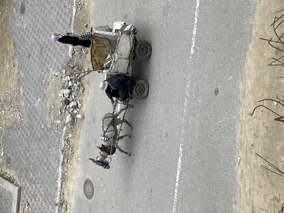 An overhead view depicts a street scene in Khan Yunis, Palestinian Territory. A light grey donkey, fitted with a multi-strap harness, pulls a two-wheeled, dilapidated cart across an asphalt road from left to right. A male individual, dressed in a dark jacket, dark trousers, and a light-colored bucket hat, is seated on the front of the cart, guiding the animal. On the adjacent checkered paved sidewalk, a female individual, wearing a black garment and a white head covering, stands or walks facing left. The road features a faded white dashed centerline and a circular metal manhole cover on its left side. A strip of unpaved ground with scattered rubble separates the road from the sidewalk. The immediate foreground shows an unpaved area containing bent metal fragments.