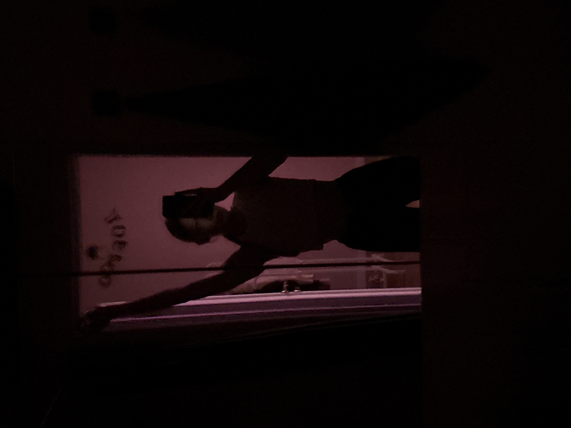 The scene depicts a selfie taken in a mirror, reportedly situated in the city of Perm, Russia. The environment is characterized by extremely low, magenta-tinted light, creating deep shadows and silhouetting. A female figure is visible in the mirror's reflection, holding a smartphone in her right hand to capture the image. Her left arm is raised and extended upward. She wears a light-toned top and dark bottoms. Her facial features are obscured by the phone and dim illumination. In the background of the reflection, on a light-colored wall, reversed letters spelling "TOEBO" (likely "OBETO" when correctly oriented) are visible. The area outside the mirror's frame is dark and indistinct, with a faint, dark vertical outline on the right side suggesting a hanging object. The lower portion of the image below the mirror is also featureless darkness.