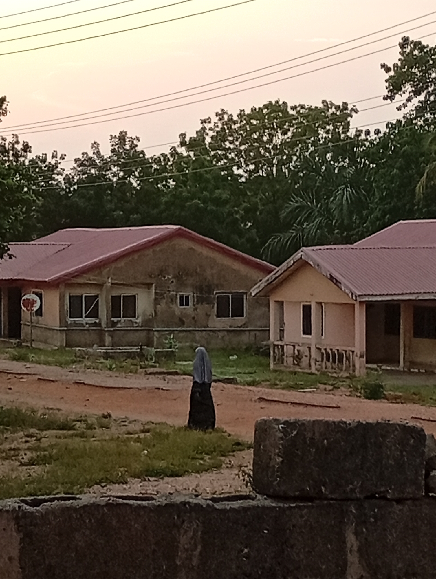 A scene in Adankolo, Nigeria depicts two single-story residential structures with red roofs. The building on the left appears older and more weathered, with a faded exterior. The building on the right looks comparatively newer and well-maintained. A person wearing a dark dress and a gray headscarf is walking in the open, dirt-covered area between the buildings. Power lines are visible against a pale sky above the trees in the background. In the foreground, a stacked stone structure is present, appearing somewhat weathered and providing a visual barrier.