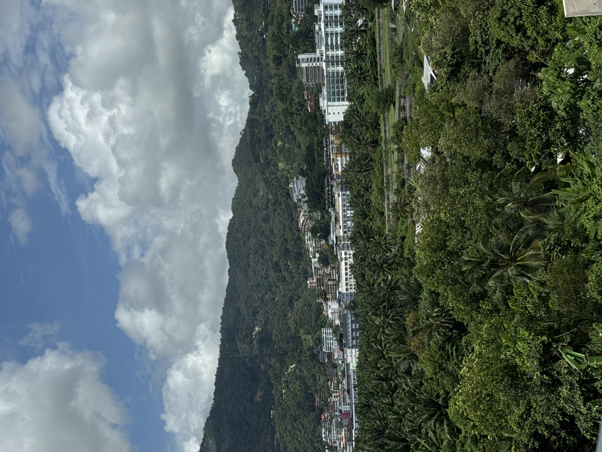 This aerial view captures the landscape of Patong, Thailand, showcasing a dense urban development nestled against a lush, mountainous backdrop. In the foreground, a thick canopy of palm trees dominates, with their fronds creating a textured green carpet. Behind the palm trees, a scattering of buildings, some with white facades and multiple stories, are visible. Further up the hillside, more buildings are spread out, some appearing to be hotels or apartment complexes, with varying architectural styles and colors. The hillside is covered in dense green vegetation and trees, with some winding roads or paths visible on its slopes. Above the town and hills, a blue sky is adorned with dramatic, puffy white clouds, suggesting a possibly humid or overcast day.