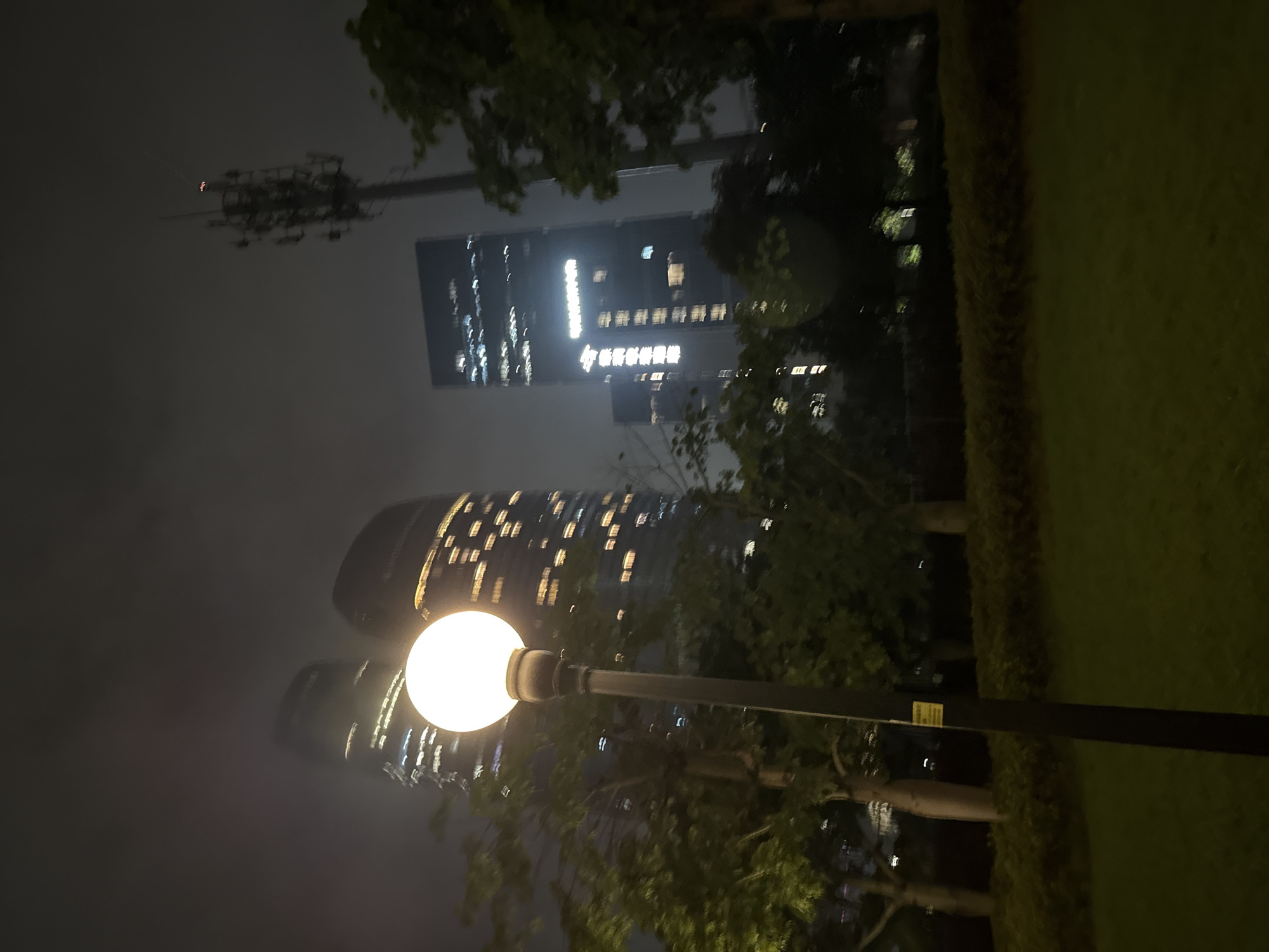 The image captures a nighttime scene in Haizhu District, China, featuring a park with a lamppost in the foreground and several modern skyscrapers in the background. The lamppost, topped with a luminous spherical light, stands prominently in the left-center of the frame. Behind it, a dense cluster of trees with dark foliage partially obscures the lower sections of the buildings. The skyscrapers, illuminated by numerous windows that create patterns of light, rise into a hazy, dark sky. One tall tower, on the right, is equipped with a communications antenna. The ground in the foreground is covered with a neatly trimmed green lawn and a low, manicured hedge. The overall atmosphere is urban and nocturnal, with the artificial lights of the city contrasting with the natural elements of the park.