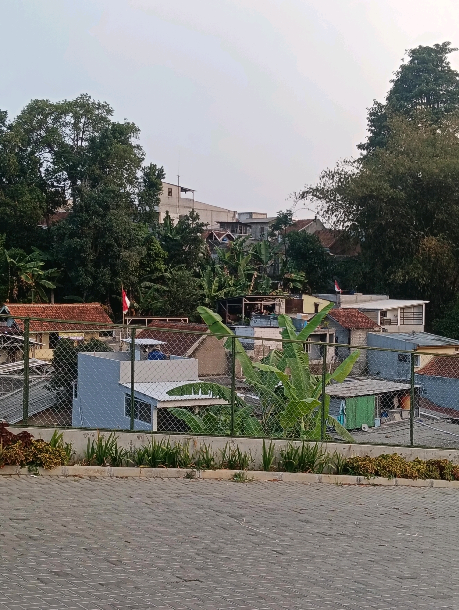 The image shows a view of houses and vegetation in a hilly urban area. In the foreground, there is a paved area with patterned bricks and a low planter bed containing various plants, including green leafy plants and some with yellowish-green foliage. A chain-link fence separates this area from the background.
The background depicts a dense cluster of houses with red-tiled roofs and some with lighter colored walls, nestled on a hillside. Several tall trees, including some banana trees with large leaves, are interspersed among the buildings, creating a lush, green environment. A small Indonesian flag, red and white, is visible on a pole in the middle ground. The sky is overcast with a light gray hue, suggesting it may be early morning or late afternoon. The overall impression is of a residential neighborhood in a tropical or subtropical region, likely in Southeast Asia, given the presence of banana trees and the Indonesian flag. The context provided specifies the location as Bandung City, Indonesia.