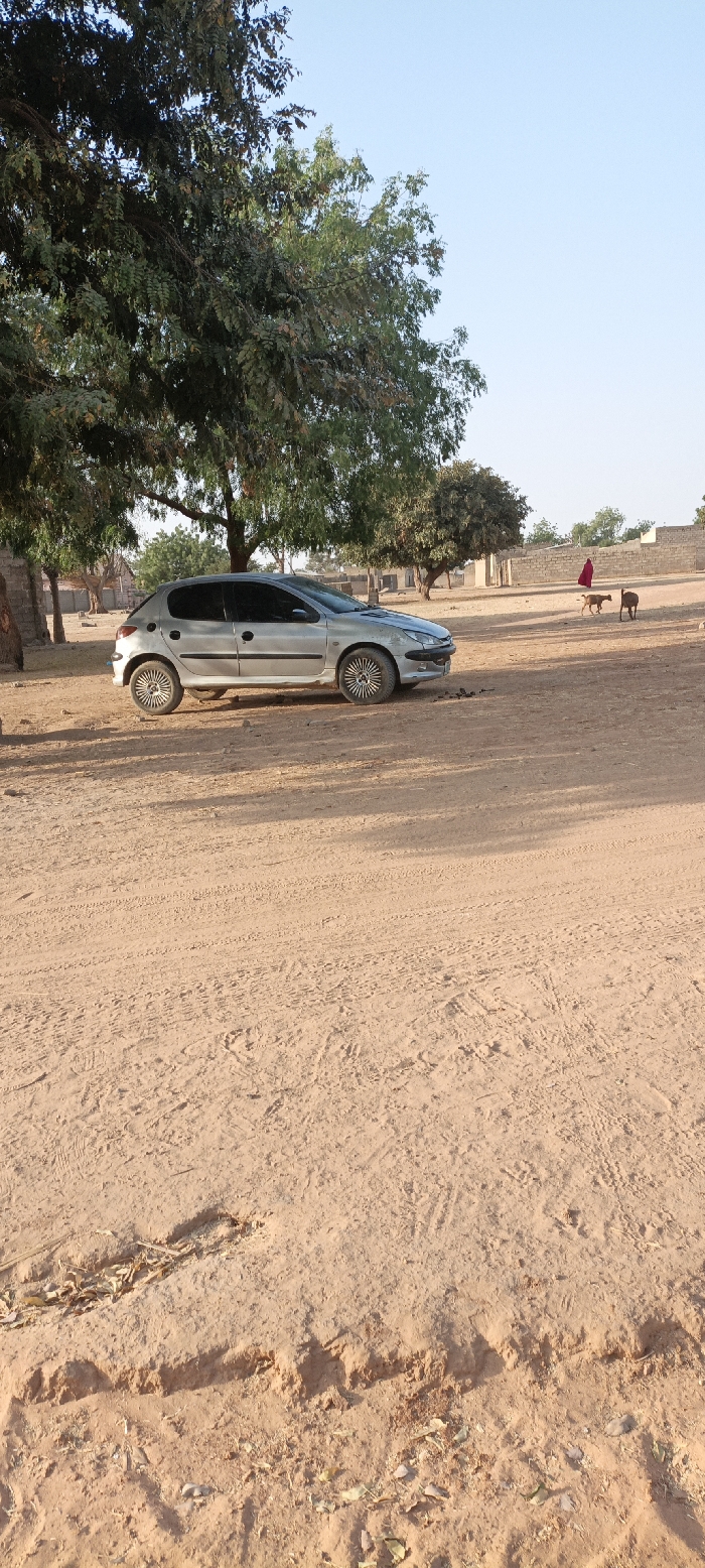 A silver Peugeot 206 is parked on a vast, dusty ground dotted with trees. The area appears rural, with a distant figure in red walking with two animals near a low wall. The ground is textured with tire tracks and sporadic vegetation. The scene is bathed in sunlight, suggesting a clear day.