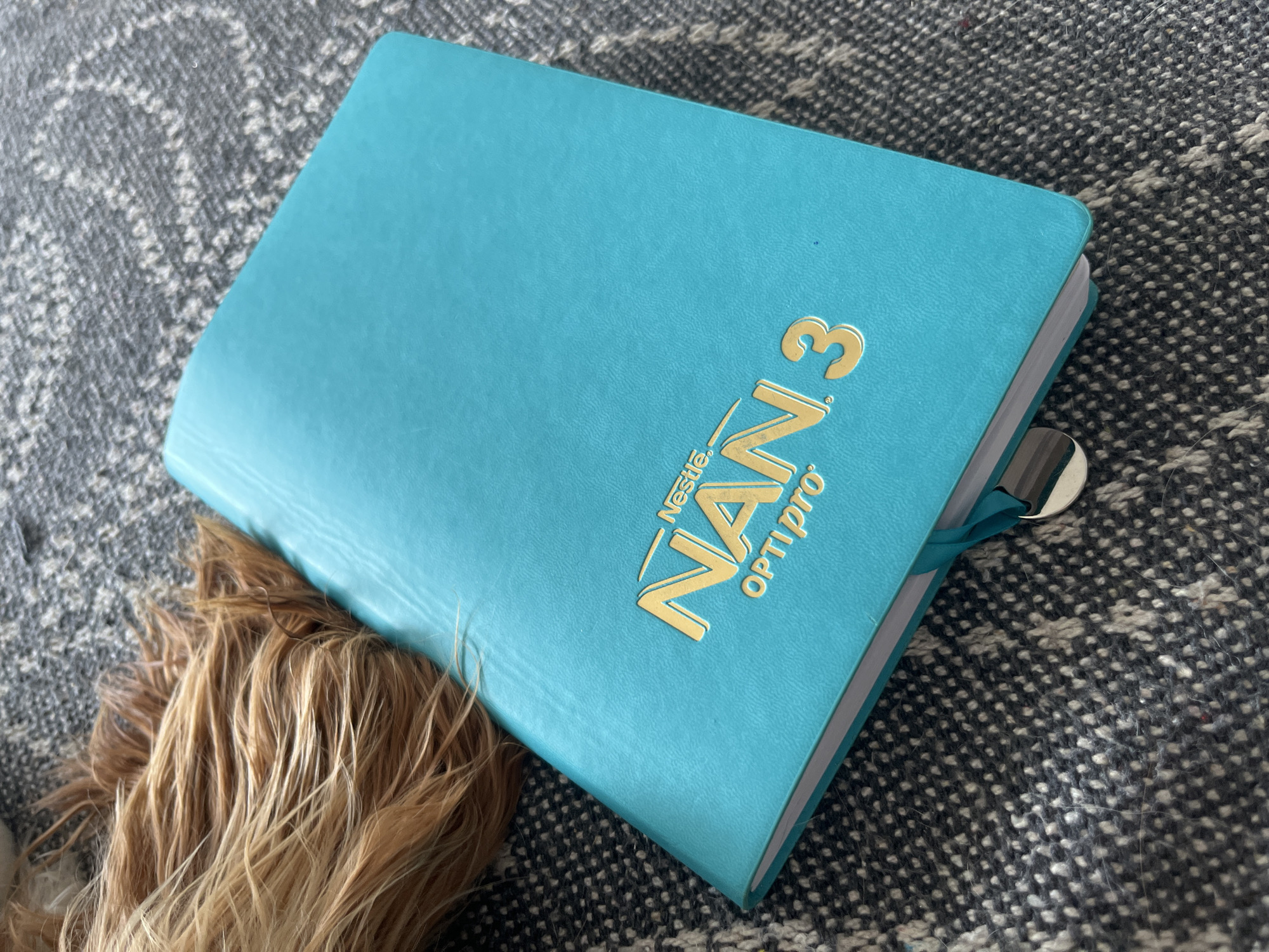 A turquoise notebook with the gold embossed text "Nestle NAN 3 OPTIpro" rests on a grey, patterned rug. A section of light brown hair, possibly from a pet, lies on top of the rug to the left of the notebook. A silver bookmark with a blue ribbon is attached to the notebook. The image is taken from a high-angle perspective. The location of this scene is Gertwiller, France.