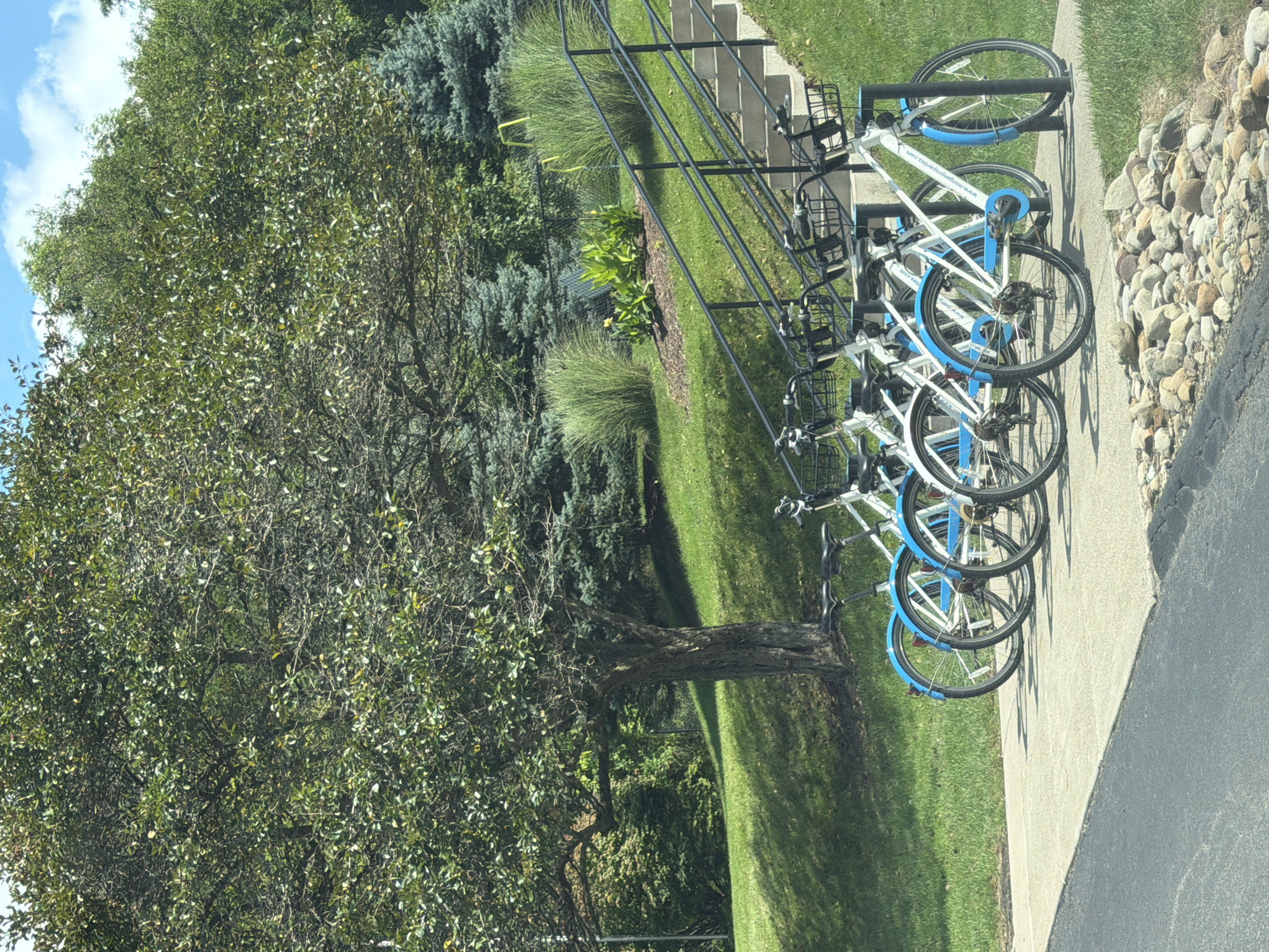 The image shows a row of white and blue rental bicycles parked on a concrete path. The bikes have black baskets on the handlebars and black seats. Behind the bikes, a grassy slope rises, with a large tree in the foreground and more trees and bushes in the background. A set of concrete stairs with black railings leads up the slope. The scene appears to be outdoors on a sunny day. The location is identified as Ross Township, United States of America.