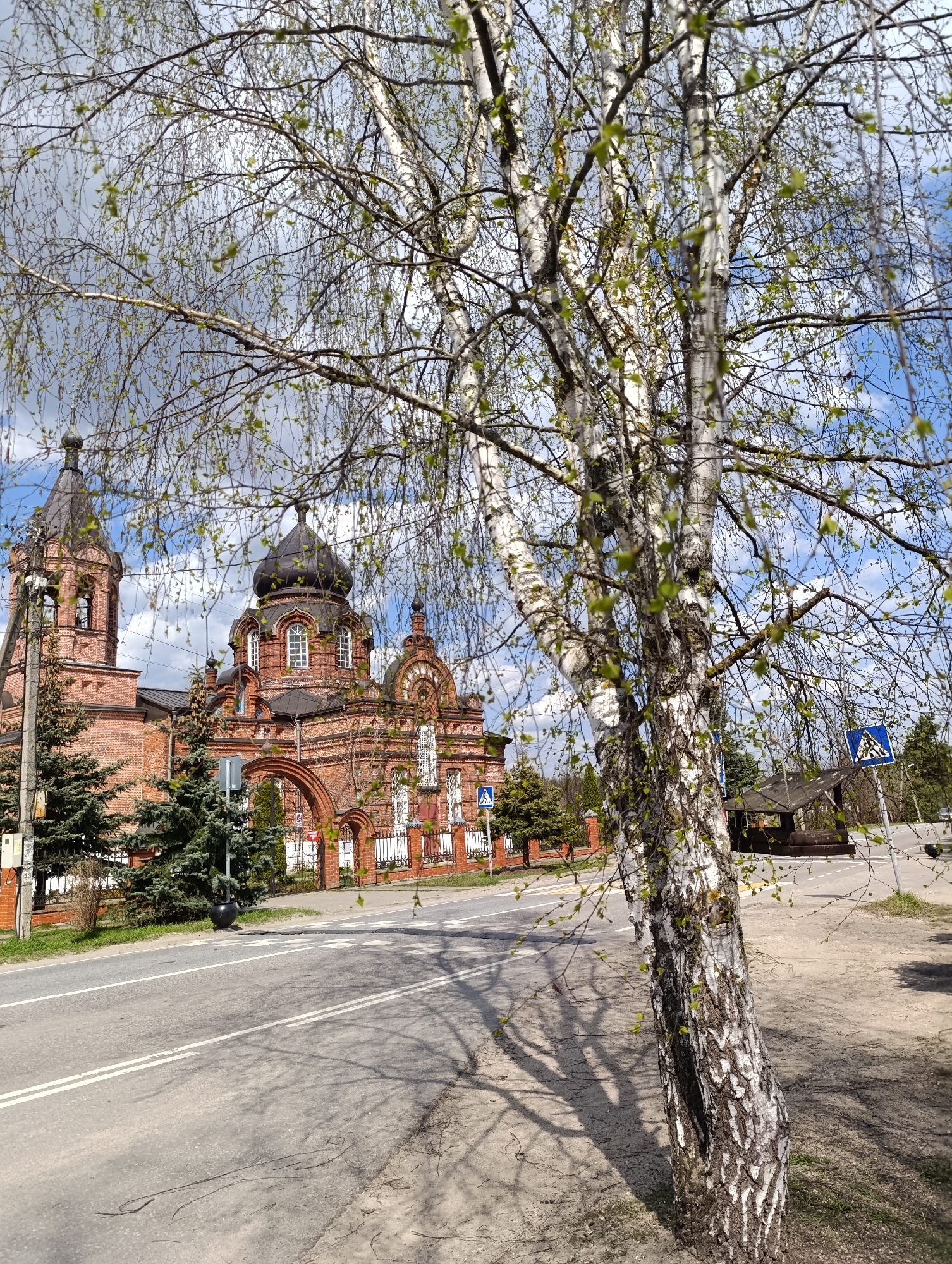 The image presents a view in Ivanovskoe, Russia, featuring an Orthodox church and a birch tree as prominent elements. The church is constructed of red brick with white accents and features multiple domes, including a larger central dome. To the left of the church are evergreen trees and a section of a low brick fence. An asphalt road stretches across the foreground, marked with white lines. The right side of the image is dominated by a birch tree with a distinctive white bark and budding green leaves. The tree's shadow is cast onto the road and the adjacent dirt surface. A pedestrian crossing sign is visible near a small bus shelter or similar structure in the background on the right. The sky is partly cloudy with blue patches.