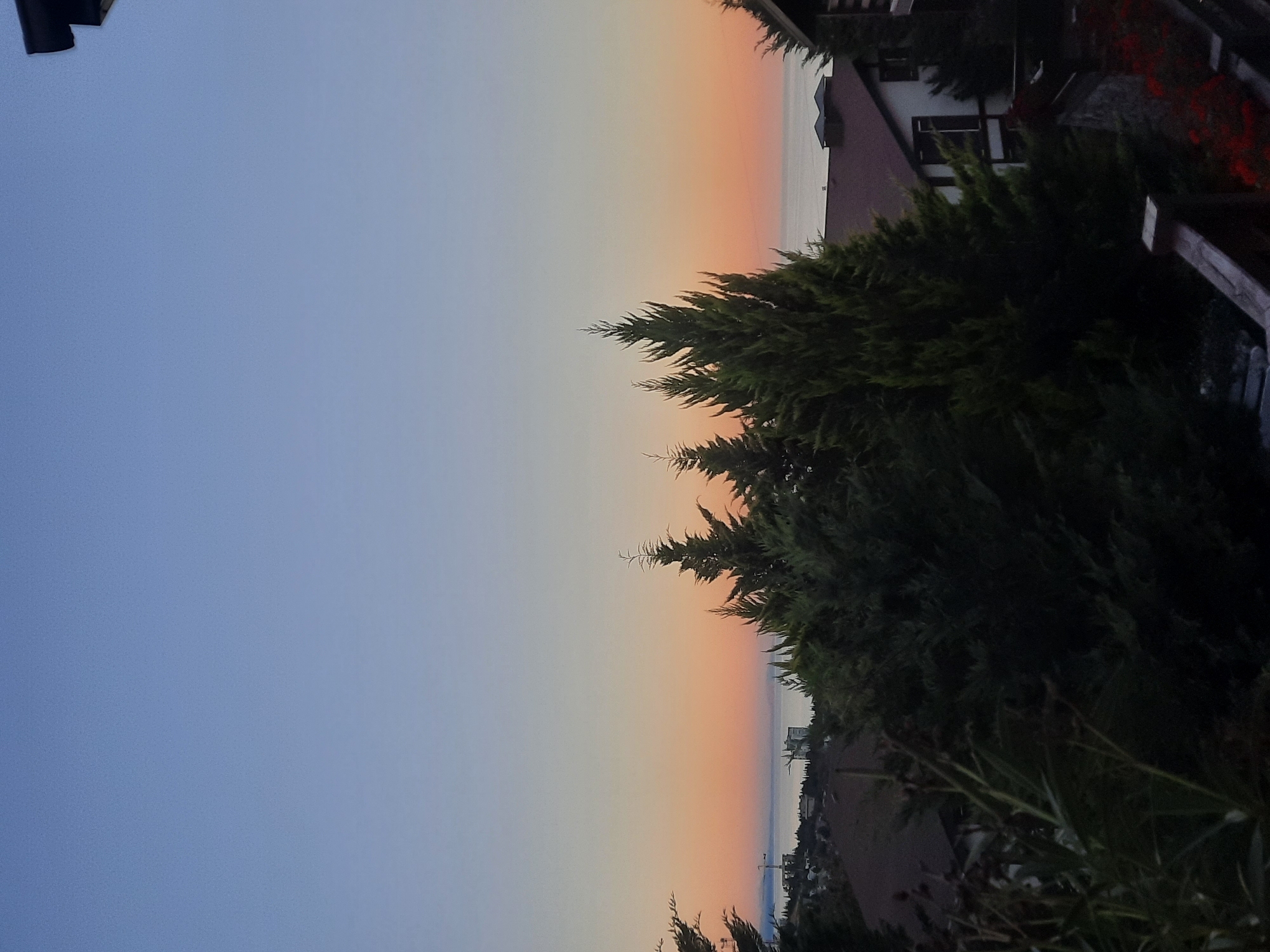 The image depicts a serene twilight scene over a coastal town. The sky transitions from a clear, light blue at the top to a soft orange and pink hue near the horizon, suggesting the sun has recently set or is about to rise. The sea is visible in the distance, a calm expanse meeting the colorful sky. In the foreground, several evergreen trees stand tall, their dark green foliage contrasting with the soft sky colors. Below the trees, parts of houses with reddish-brown roofs are visible, nestled into a hillside. Some buildings appear to be under construction, with cranes visible on the distant skyline. The overall impression is one of quietude and natural beauty, with a hint of ongoing development. The location is stated as Unknown, Ukraine.