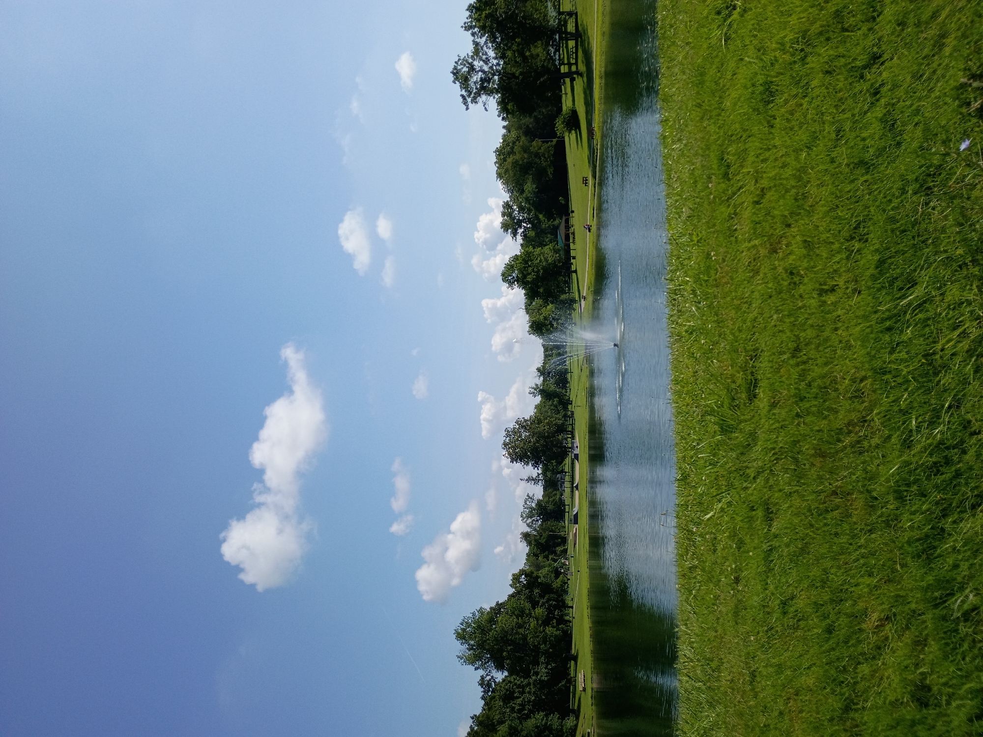 This is a photograph of a park in Nicholasville, Kentucky, United States of America, featuring a serene lake with a fountain in the center. The foreground is dominated by lush green grass, leading to the calm waters of the lake. On the far side of the lake, a line of mature trees forms a verdant backdrop. In the distance, there are signs of park amenities, including picnic tables and what appear to be skate park structures. The sky above is a clear, vibrant blue, punctuated by a few scattered white clouds.