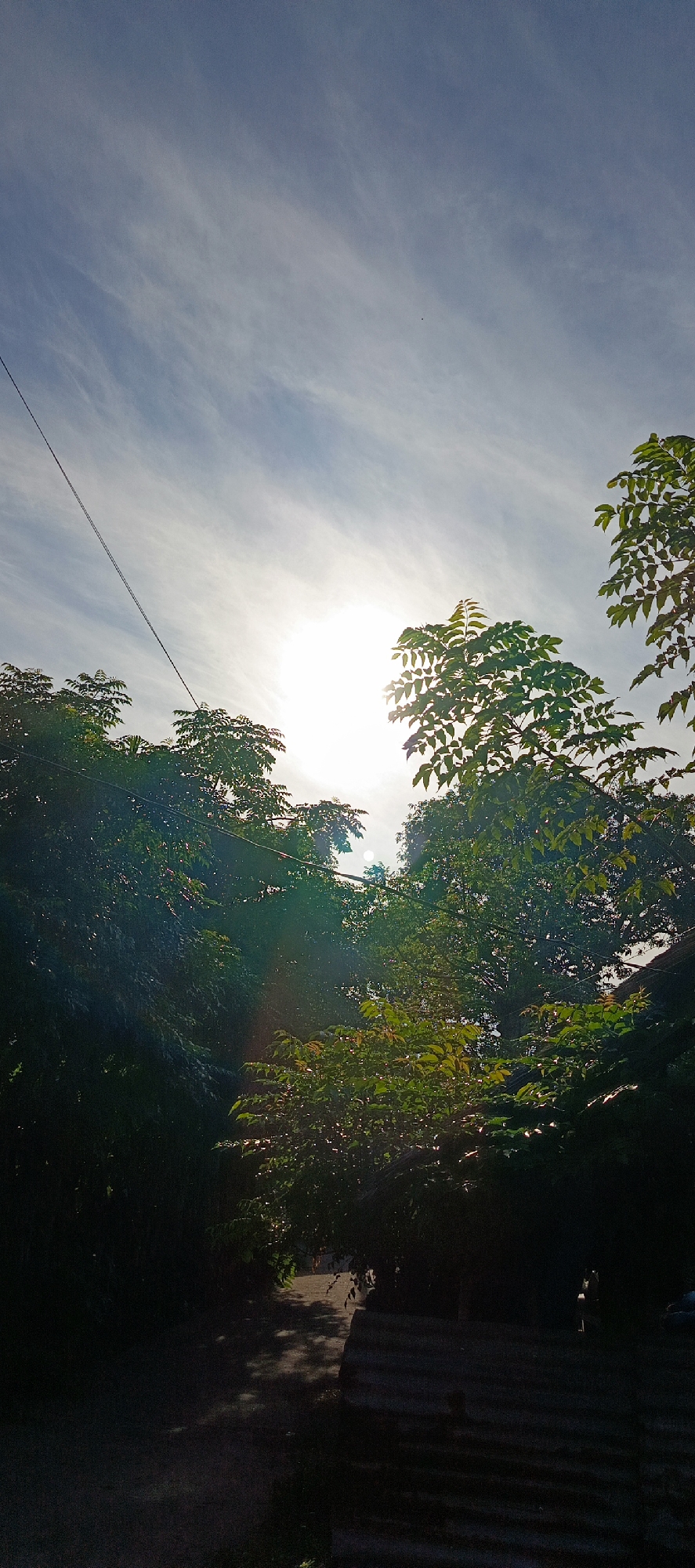 The image depicts a scene with lush green trees against a bright sky illuminated by the sun. The sun is positioned centrally in the upper half of the image, causing lens flare that creates streaks of light. Thin, wispy clouds are visible in the sky. A telephone wire runs diagonally across the upper left portion of the image. The trees are dense with foliage, and some sunlight filters through the leaves, casting dappled shadows on the ground below. The lower part of the image shows a dark, unpaved path with shadows. On the right side, there appears to be a rough, textured surface that could be a wall or roofing material, partially obscured by the trees. The overall impression is that of an outdoor, possibly rural or suburban, environment in Indonesia.