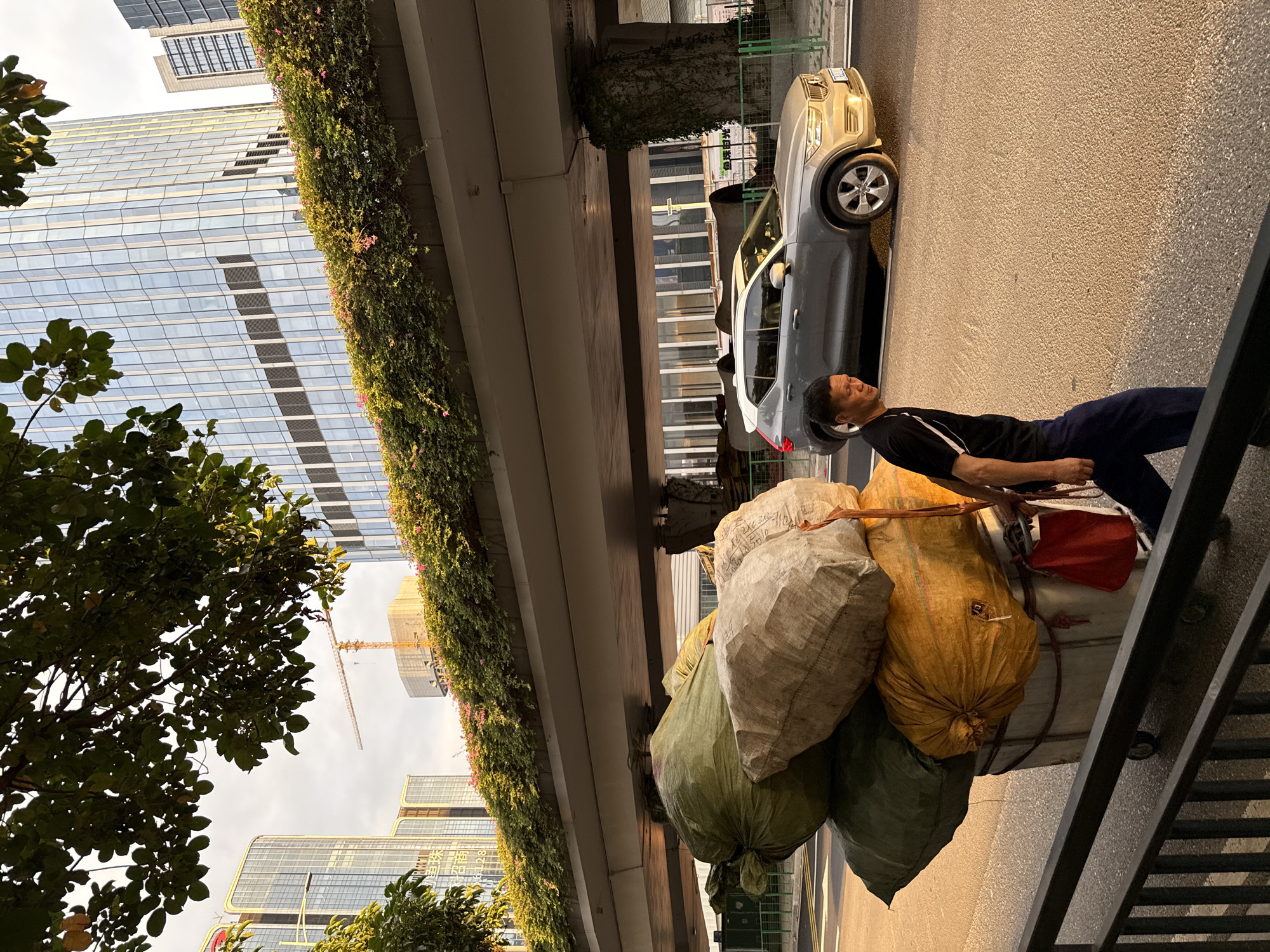 A man is pulling a cart laden with large sacks on a street in Tianhe District, China. The cart is filled with at least four oversized sacks, one appearing to be bright yellow, another green, and two others of a lighter, possibly tan color. The man, wearing a black t-shirt with a white stripe on the sleeve and dark blue pants, is positioned behind the cart and appears to be walking forward, pushing it. A small red bag hangs from the side of the cart. In the background, a modern silver SUV is driving on the road. Above the road, an elevated structure, possibly a highway or bridge, is visible, covered in lush green foliage and flowering plants. Beyond this, tall glass-fronted buildings rise into the sky, one of which is a prominent skyscraper. A construction crane can be seen in the distance. The scene is illuminated by warm, low-angled sunlight, suggesting either early morning or late afternoon. The street itself is paved and marked with a yellow line. A dark metal railing runs along the foreground of the image.