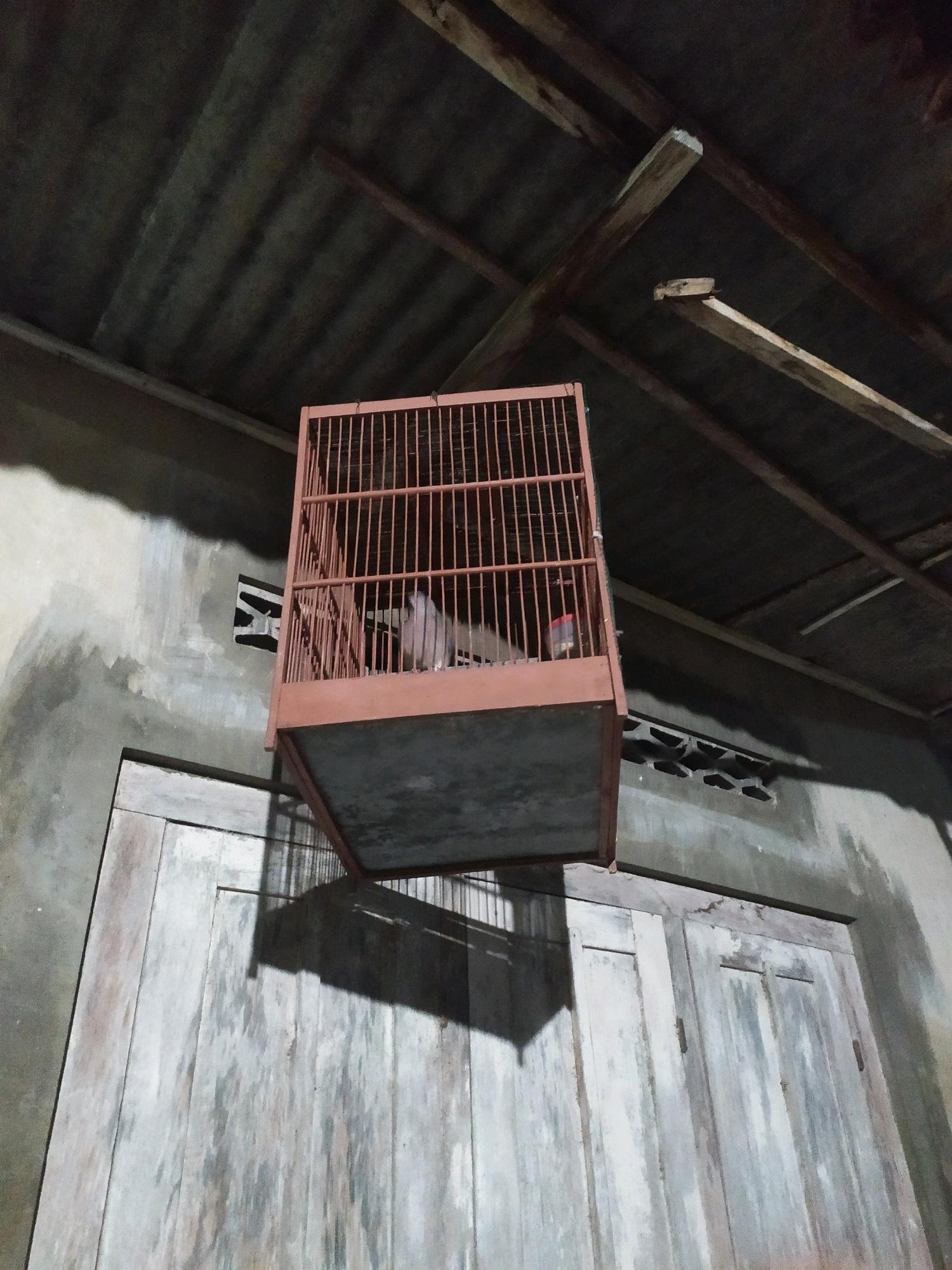 The image depicts an outdoor scene at night in Glagahwangi, Indonesia, focusing on a birdcage suspended from a rustic wooden roof structure. The birdcage, made of reddish-brown metal bars, hangs precariously from two wooden beams supporting a corrugated metal roof. Inside the cage, a light-colored bird is visible, appearing to be resting or standing. The birdcage itself casts a shadow on a weathered, light-colored wooden door situated below it. The wall to the left of the door is a rough, gray plaster with some discoloration. The overall environment suggests a simple, possibly rural or semi-urban, setting with exposed building materials. The lighting appears to be artificial, likely from an external source, casting sharp shadows.