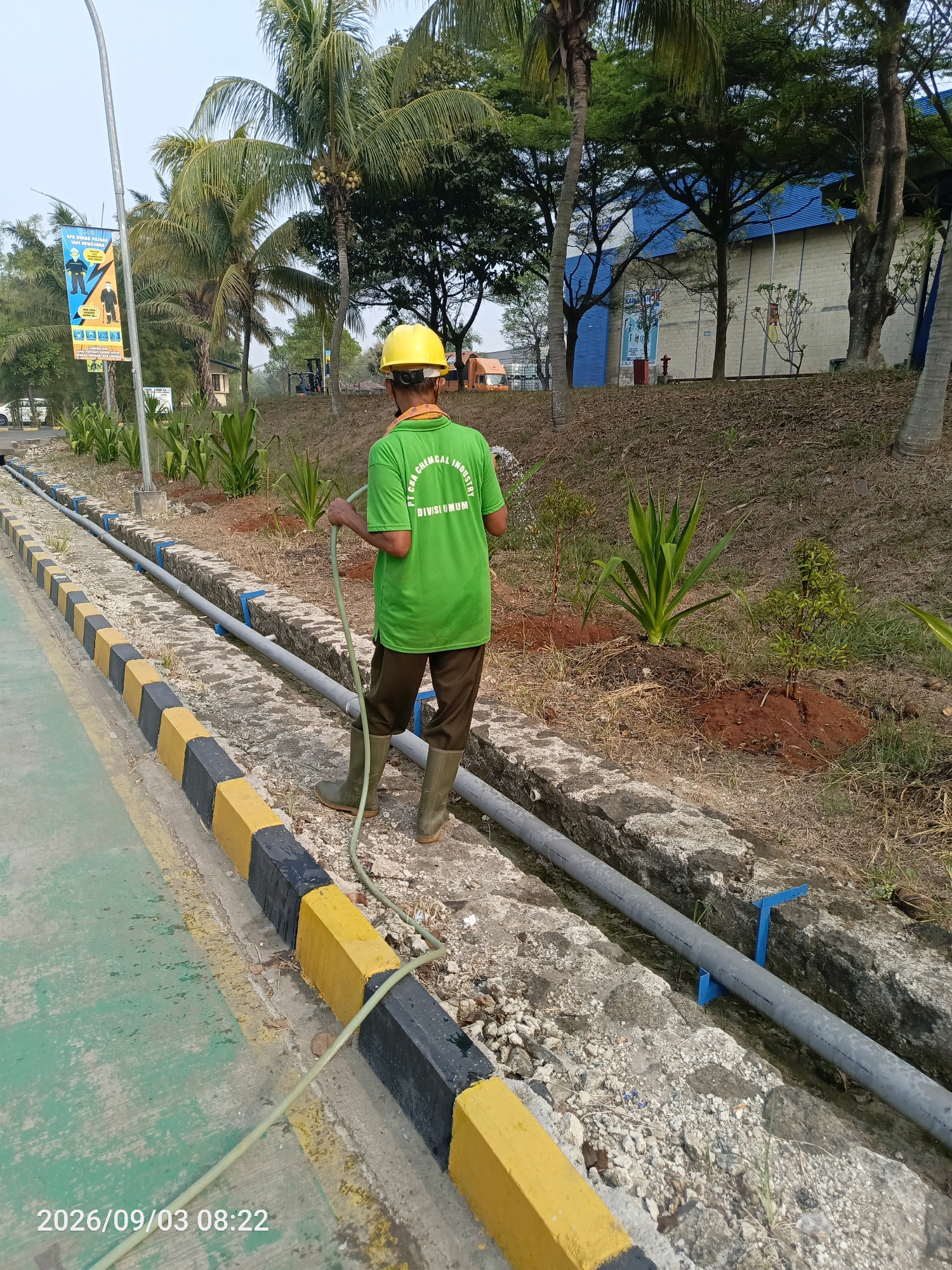 A person wearing a yellow hard hat and a green t-shirt with "PT CHA CHEMICAL INDUSTRY DIVISI UMUM" printed on the back is watering plants with a hose. The person is also wearing dark pants and green rubber boots. They are standing on a paved area next to a concrete drainage ditch with a gray pipe running through it. The ditch is lined with concrete blocks painted yellow and black. In the background, there are palm trees, other trees, and a building with a blue roof. The ground is covered with dry grass and dirt. The time stamp "2026/09/03 08:22" is visible in the lower left corner of the image.