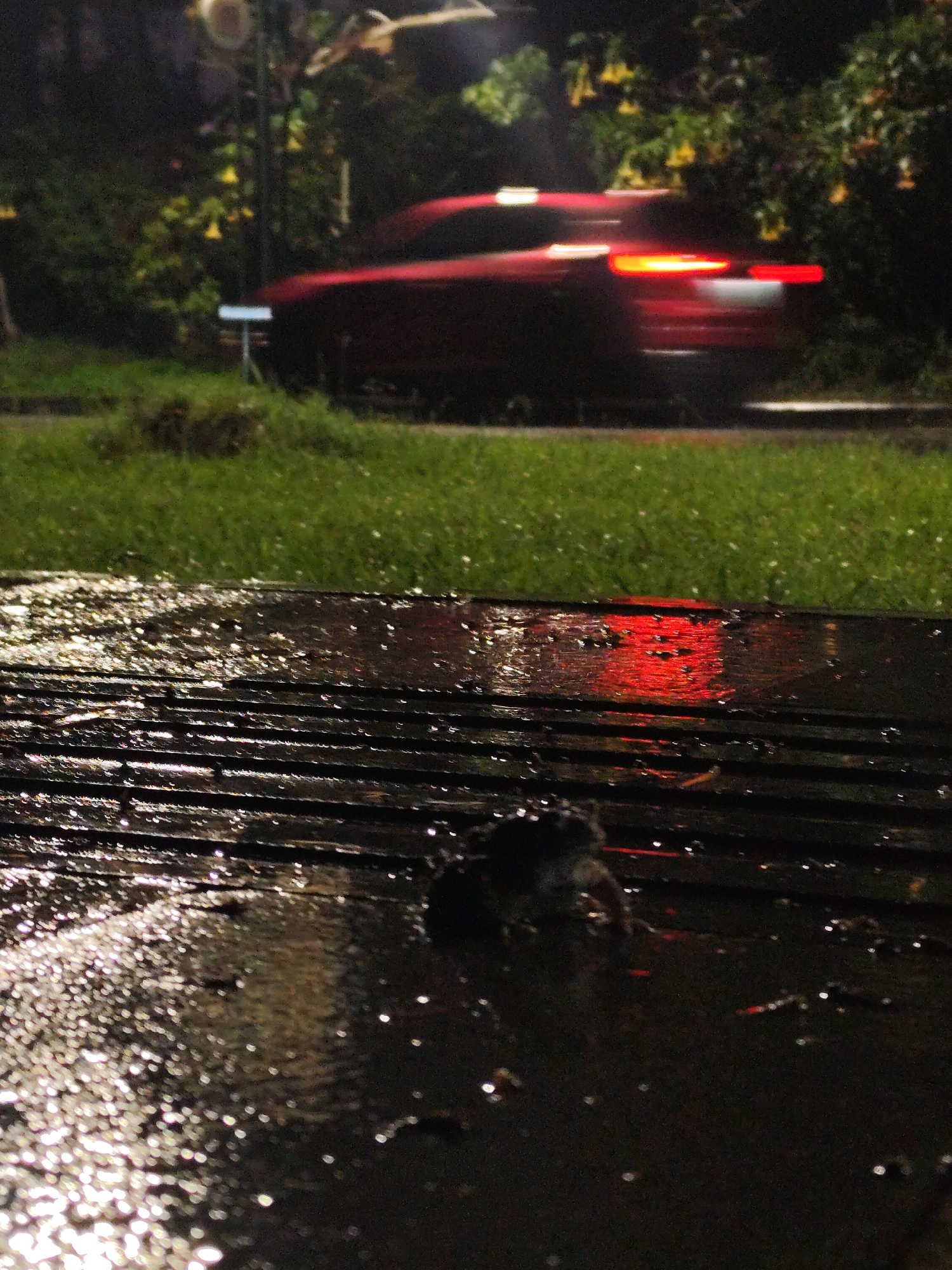 A nighttime photograph depicts a rain-soaked wooden surface in the foreground, with a blurred red car moving on a road in the background. The road is edged by a grassy bank and shrubbery. The reflections of the car's lights are visible on the wet wooden surface. A small, dark object lies on the wood close to the camera. The image appears to have been taken in a location that may be Da Lat, Vietnam. The background is out of focus due to motion blur and depth of field, but suggests a somewhat urban environment with street lighting and dense vegetation.