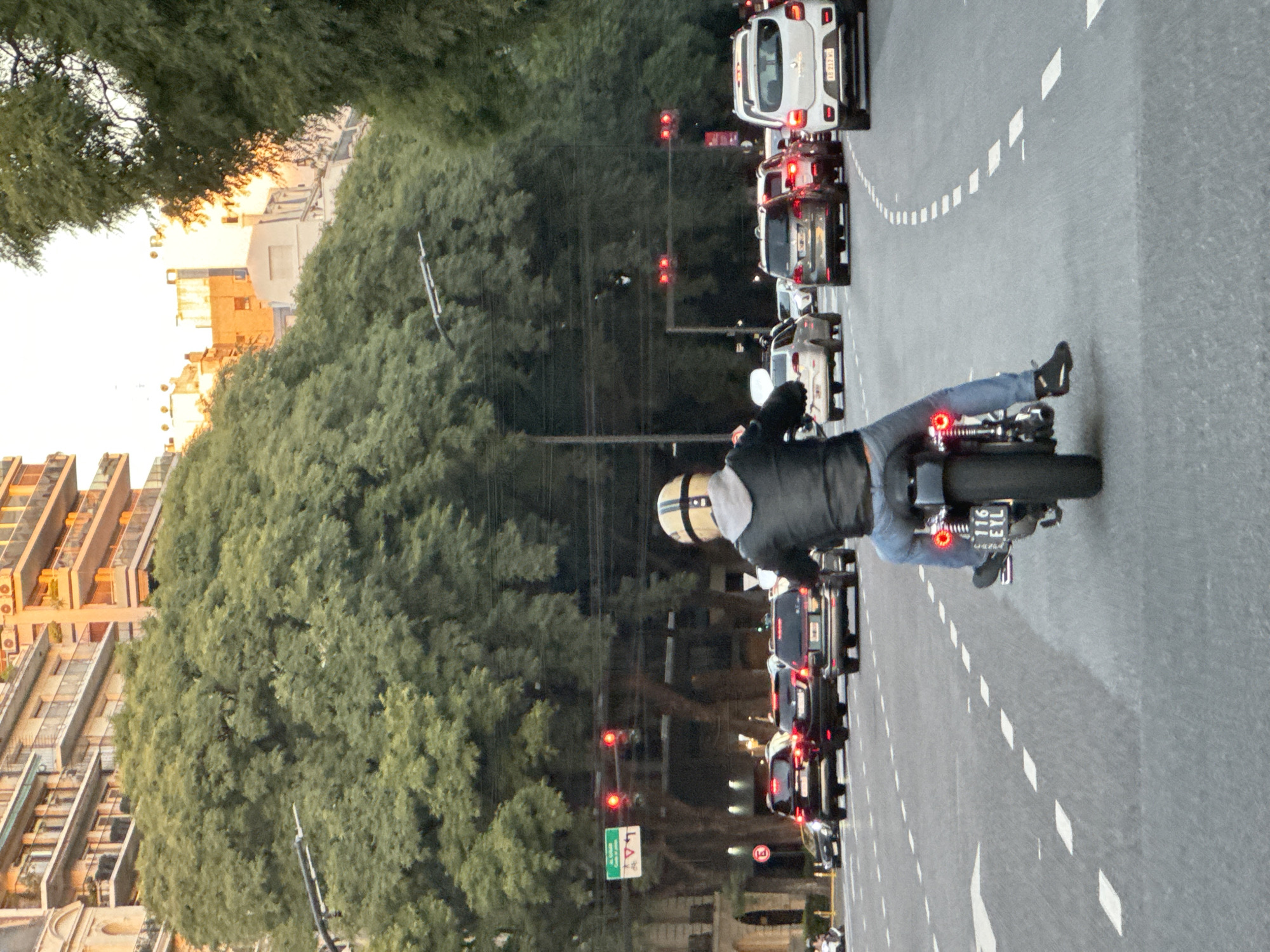 The image captures a street scene in Buenos Aires, Argentina. Traffic is stopped at a red light on a multi-lane road. Cars and trucks of various models are visible in the line of vehicles. A motorcyclist wearing a helmet, jeans, and dark shoes is also stopped in traffic. Tall buildings are on the left of the road, partially obscured by large trees. Streetlights line the side of the road between the traffic and the trees. The license plate on the motorcycle reads "116 EYL U". The image is taken at eye level.