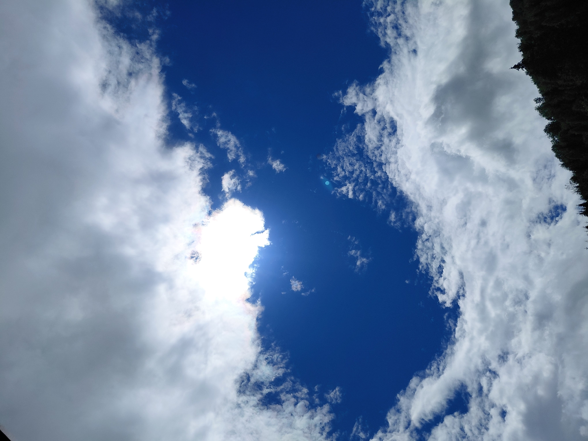 This is a low-angle, outdoor, full shot of a bright blue sky filled with various cloud formations. The sun is partially obscured by clouds in the upper center of the frame, creating a bright, almost lens-flare effect. The clouds range from wispy, white cirrus clouds to larger, darker, cumulus clouds, with some appearing to be illuminated from behind by the sun. In the bottom portion of the image, a dark silhouette of a treeline is visible, suggesting a natural landscape, possibly a forest or mountainside. There are no people or man-made structures clearly visible in the image. The scene appears to be set in Chernyk, Ukraine, though no specific landmarks or contextual details pinpoint this location within the image itself.