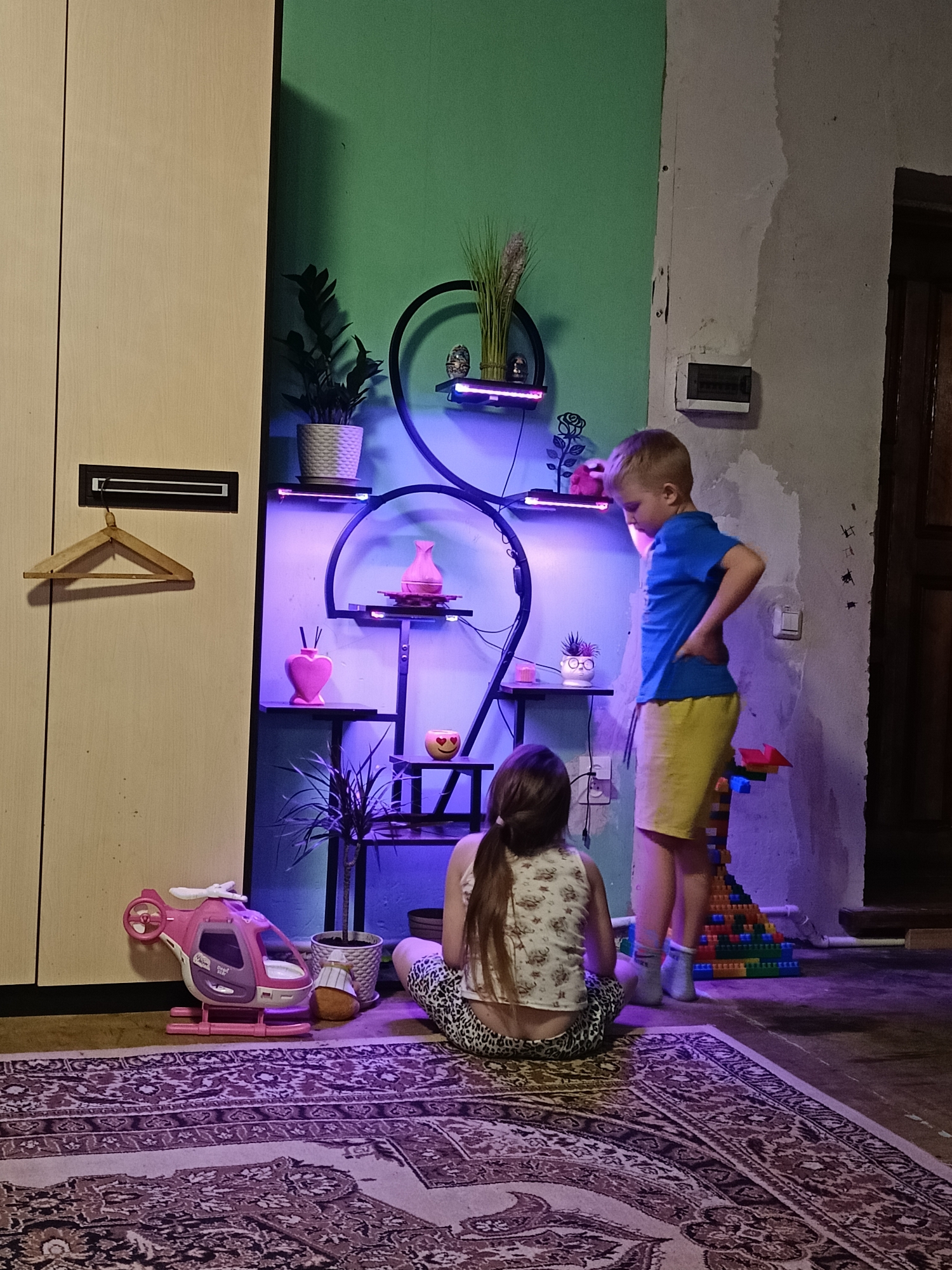 An indoor scene captures two children interacting with a decorative shelving unit, likely in a home in Chaikovsky, Russia. A young boy, wearing a blue t-shirt and yellow shorts, stands looking down at the illuminated shelves. A girl with her hair in a ponytail sits on a patterned rug, facing the shelves with her back to the viewer.
The focal point is a black, multi-tiered shelving unit with curved accents, brightly lit by purple LED strips. It displays several potted plants, including a larger one on the top shelf and smaller ones below, alongside decorative items like a pink heart-shaped vase, a pink pitcher, and a yellow pot with a smiley face design. A diffuser is also visible on one of the shelves.
To the left of the shelves, a light-colored wardrobe or cabinet stands, featuring a wooden clothes hanger on a black horizontal fixture. On the floor in front of the wardrobe is a pink toy helicopter. To the right of the children, against a textured, unpainted wall, a pyramid-shaped stack of colorful building blocks (resembling LEGOs) is visible. The wall behind the shelving unit is painted light green, creating a contrast with the raw, unfinished wall to its right. The floor is covered by a large, ornate rug with shades of purple and beige, with some bare floor visible around it. The overall dim lighting, accentuated by the purple glow of the shelves, suggests the time of day is evening or night. No visible text is present in the image.