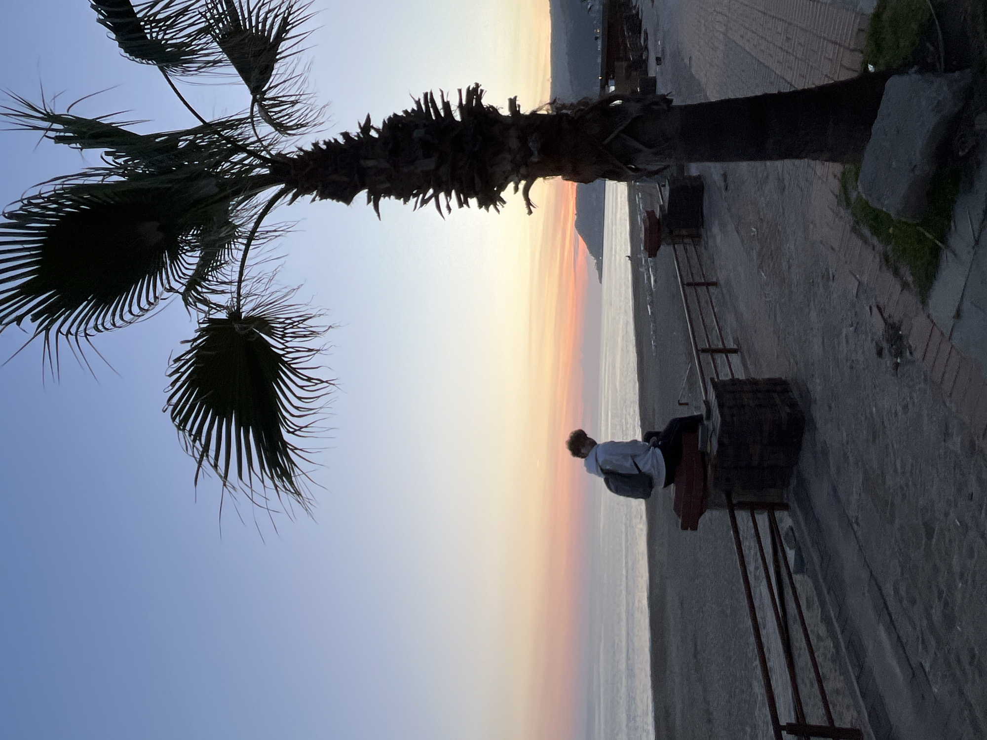 The image, presented in a portrait orientation but depicting a scene best viewed horizontally, captures a serene coastal setting at either sunset or sunrise. A large palm tree, silhouetted in dark tones, dominates the left side of the frame (if viewed horizontally), its fronds fanning out against the sky.
The sky displays a gentle gradient, transitioning from a soft blue-grey to warm hues of yellow, orange, and pink as it approaches the horizon, where it meets the calm, open sea. In the mid-ground on the right, a solitary individual is seated on a dark bench, facing the ocean. The person, viewed from behind, wears a light-colored jacket or hoodie and carries a dark backpack. Their hair has a reddish-brown tint.
Along the bottom and right side of the image, a paved promenade or walkway is visible, bordering the sea and providing the placement for the bench. Faint outlines of distant land or mountains can be seen along the horizon. The scene exudes a peaceful and contemplative atmosphere, with clear skies suggesting pleasant weather conditions. No text is visible in the image. The setting is consistent with a coastal location such as Alanya, Turkey.