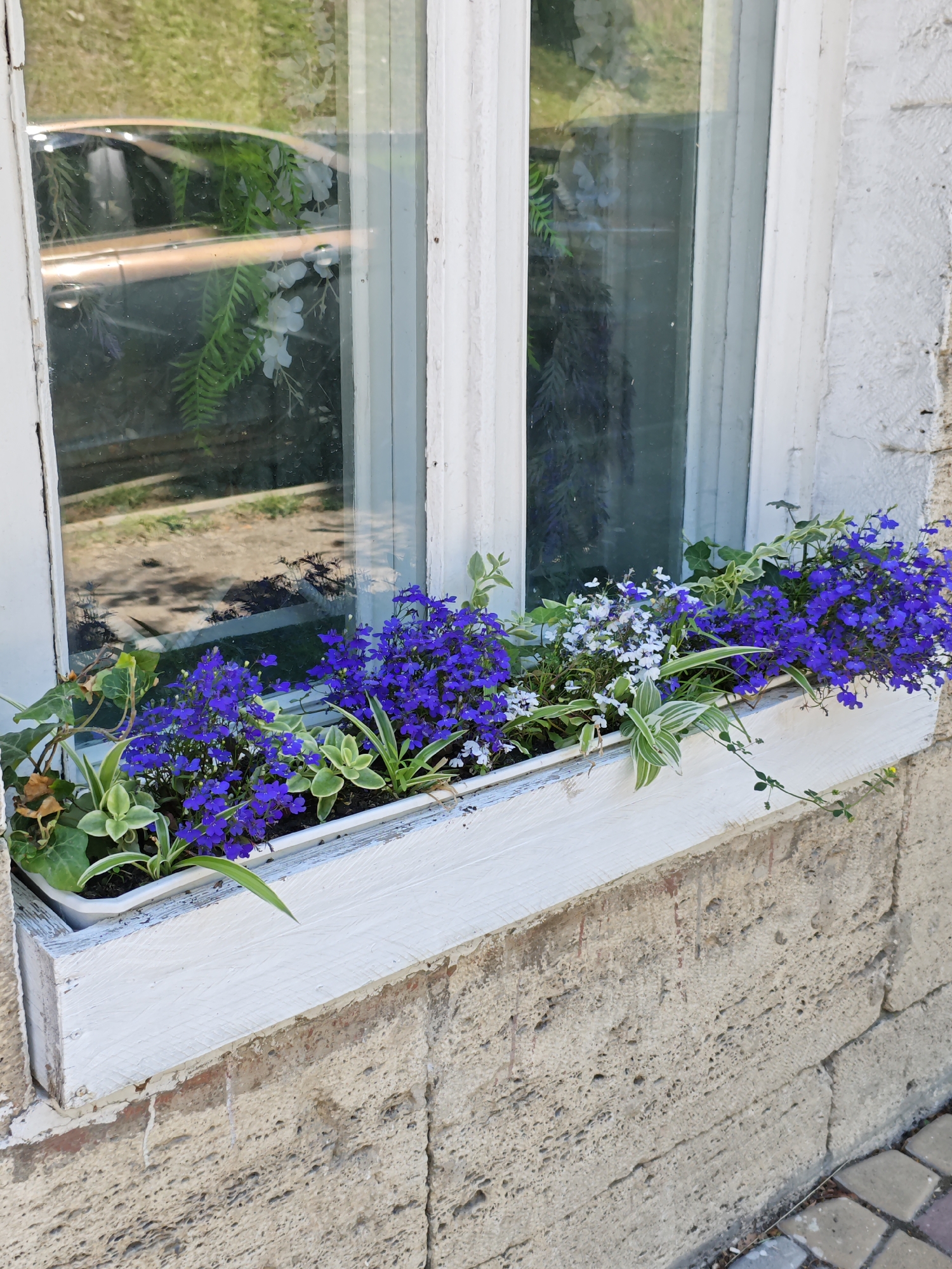 This is a close-up, eye-level, outdoor, vertical shot of a white wooden window box filled with flowers, mounted on a rough, light-colored stone wall. The window box contains a mix of bright purple lobelia flowers and smaller white flowers, interspersed with green foliage. The window above the box has a white frame and a reflective glass surface, showing a distorted reflection of greenery and possibly a car's chrome trim. The stone wall has a textured, porous surface with visible variations in color and some reddish streaks. The scene appears to be in Pyatigorsk, Russia, suggesting a residential or commercial building exterior. There are no people visible in the image.