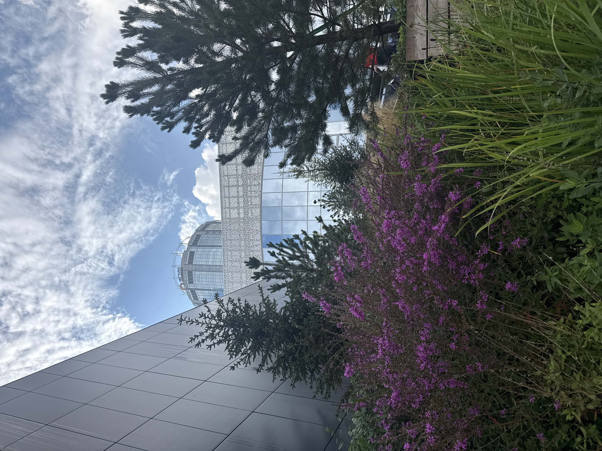 The image captures a view of the Yekaterinburg City Palace of Youth, located at **8 Marta Street, 103, Yekaterinburg, Russia**. In the foreground, there is lush greenery with vibrant purple flowers and tall grasses. Behind the foliage, a modern building with a dark, reflective facade is visible. Further in the background, the distinctive cylindrical structure of the Yekaterinburg City Palace of Youth rises, its glass facade reflecting the sky and clouds. The sky itself is a mix of blue with wispy white clouds. Several evergreen trees are interspersed throughout the scene, adding to the natural elements surrounding the urban architecture. No people are clearly identifiable in the foreground, though shadows and indistinct shapes suggest activity behind the glass of the building.