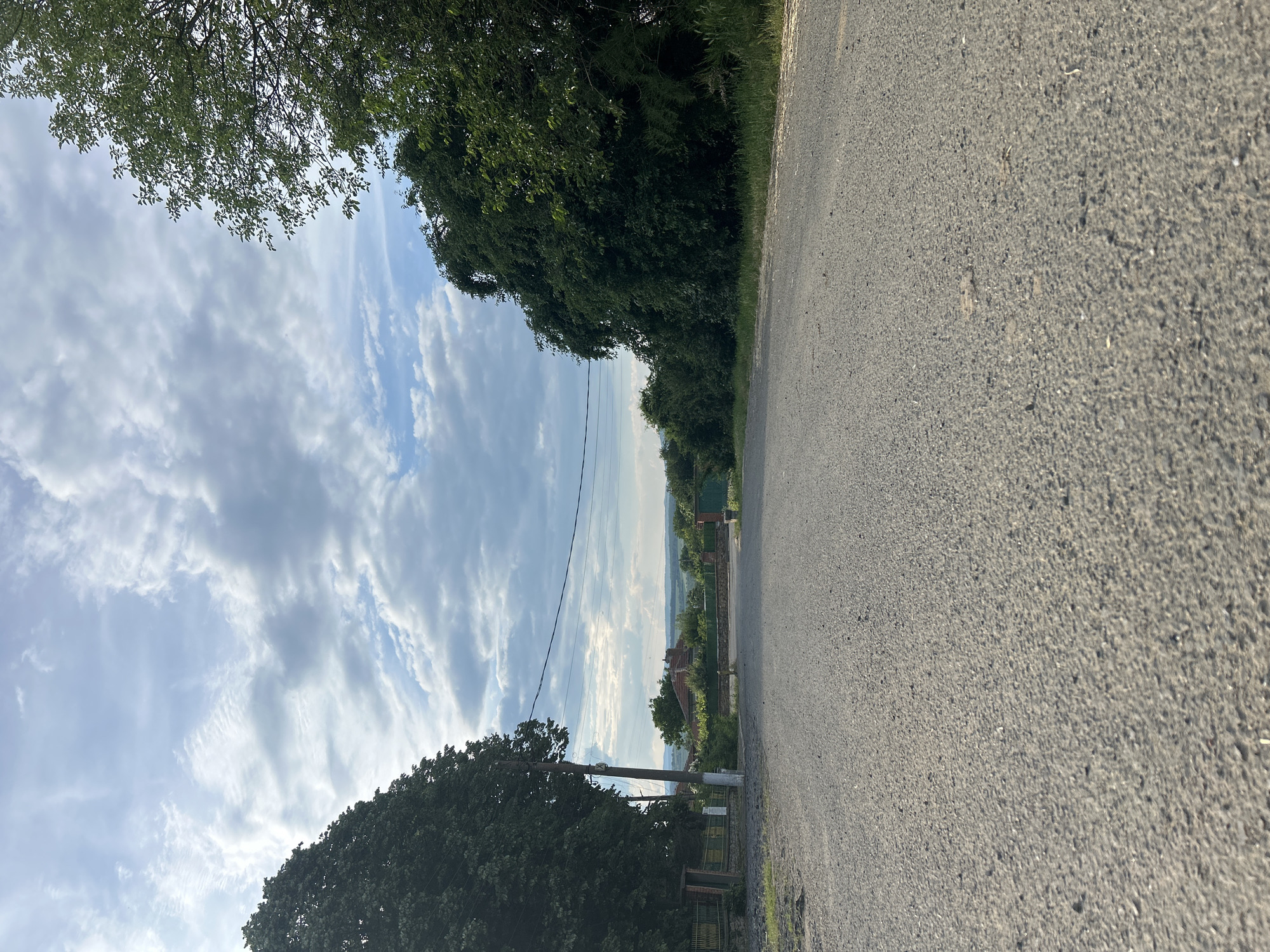 The image displays a rural or semi-rural landscape, viewed from a slightly elevated position looking down a road. The main image is rotated 90 degrees clockwise.
In the foreground, a gray asphalt road occupies the right side of the frame, showing a textured surface with small pebbles and debris. The road appears to curve gently into the distance.
To the left of the road and extending into the upper portion of the frame are numerous lush green trees with dense foliage, casting some shadows. Further along the left side, utility poles with power lines are visible, stretching into the distance. Beyond the immediate tree line and across the landscape, glimpses of distant buildings with reddish-brown roofs can be seen.
The background reveals a hazy landscape of rolling hills or distant terrain, suggesting a wide vista. The sky is partially cloudy, with a mix of fluffy white cumulus clouds and some elongated cirrus-like clouds against a light blue backdrop.
The scene appears to be taken during daytime, possibly late afternoon, given the bright light. There is no visible activity, and the scene is tranquil. No people or animals are present, and there is no discernible text. The setting suggests a quiet countryside or an edge of a small settlement.