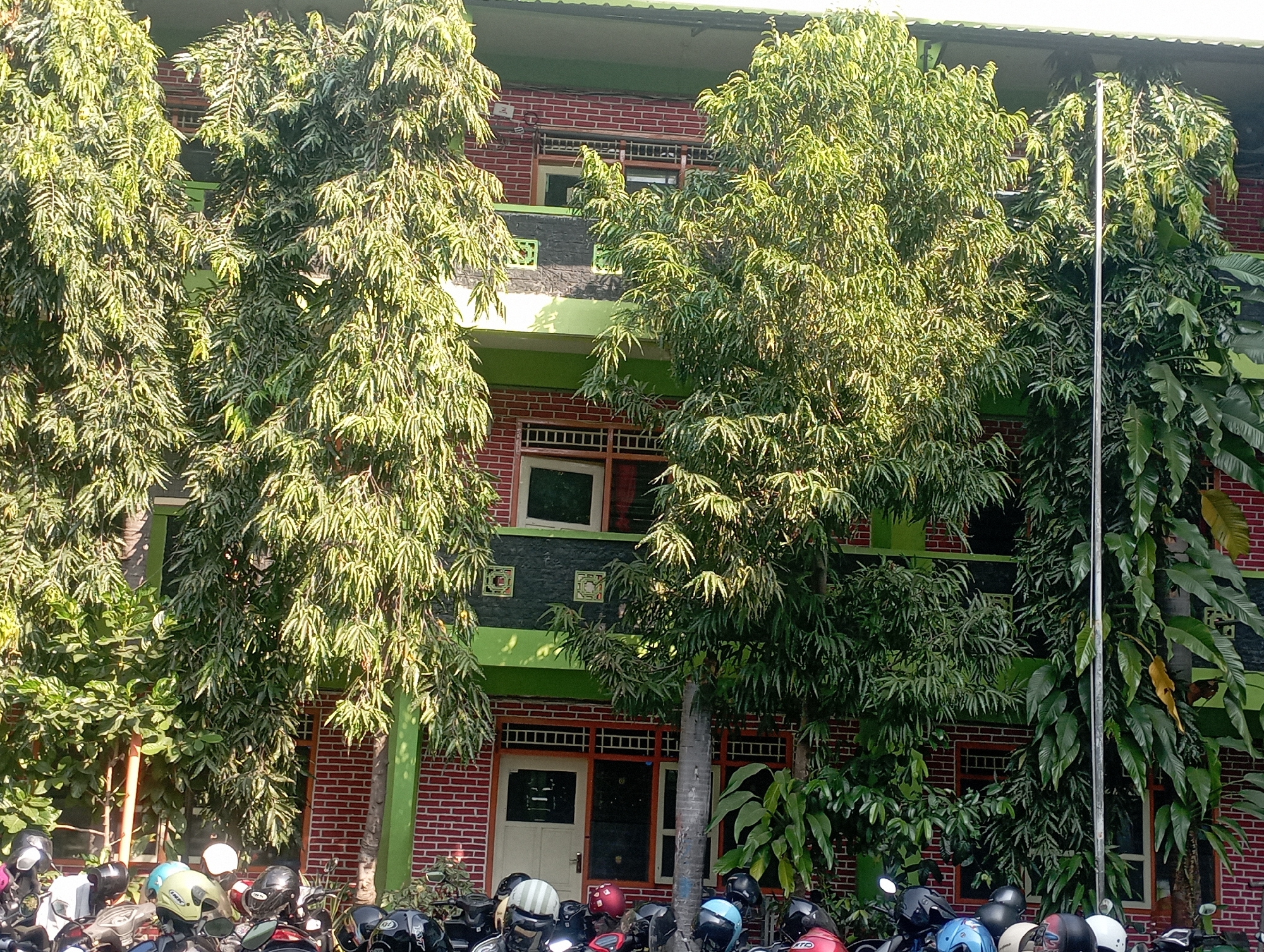 The image shows a row of parked motorcycles in front of a two-story brick building. The building has green trim and several windows. Lush green trees with dense foliage obscure parts of the building. The scene is bathed in sunlight, suggesting it is daytime. The motorcycles are parked closely together, indicating a public space, possibly a school or office. The overall impression is one of a typical street scene in a tropical or subtropical urban environment. The location is Nganjuk, Indonesia.