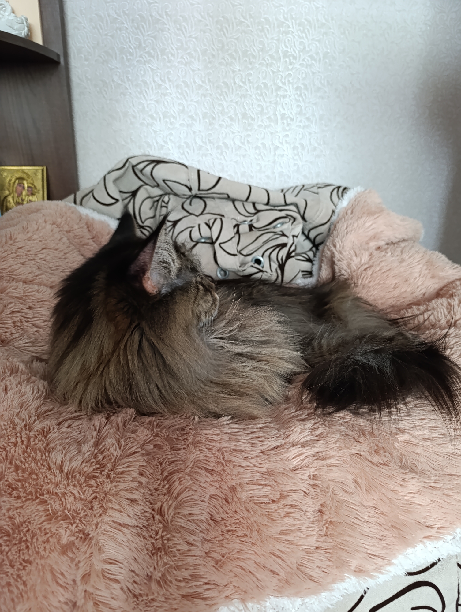A long-haired tabby cat is curled up asleep on a pink fluffy blanket. The cat is mostly brown and black, with a long, bushy tail. The blanket is soft and plush, and it appears to be in a bedroom or living room. There is a patterned pillow behind the cat, and a shelf with a religious icon visible in the upper left corner of the image. The overall scene is peaceful and cozy.