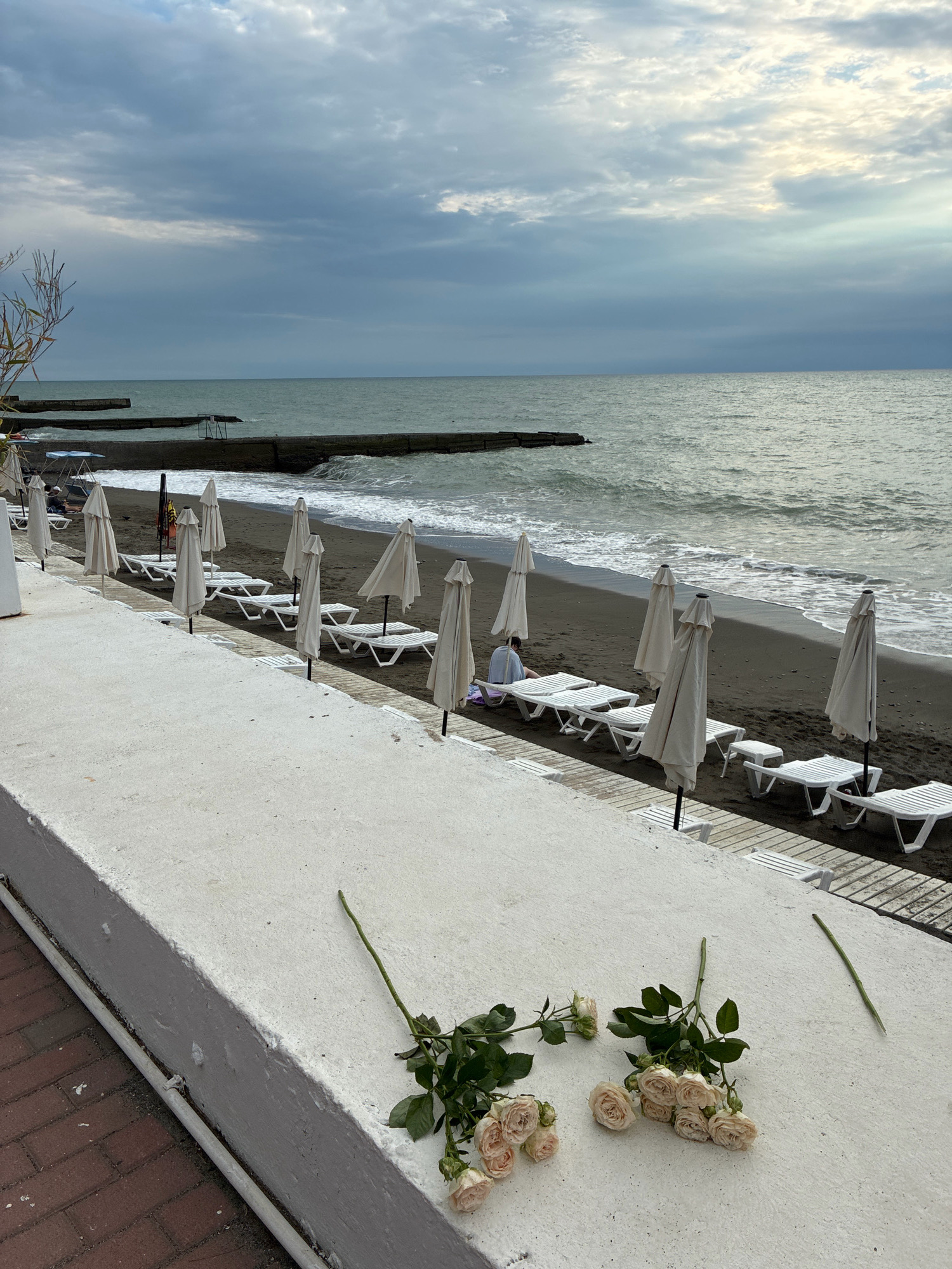 The image depicts a deserted beach in Sochi, Russia, on a cloudy day. Several closed white umbrellas and empty lounge chairs are lined up on the dark sand, suggesting an off-season or inclement weather. The sea is visible in the background with moderate waves crashing on the shore. A person is sitting on one of the lounge chairs, facing the sea, wrapped in a light blue towel. In the foreground, two bouquets of pale pink roses lie on a concrete ledge. The overall mood is somber and still, with the overcast sky and the wilting flowers contributing to a sense of quiet melancholy.