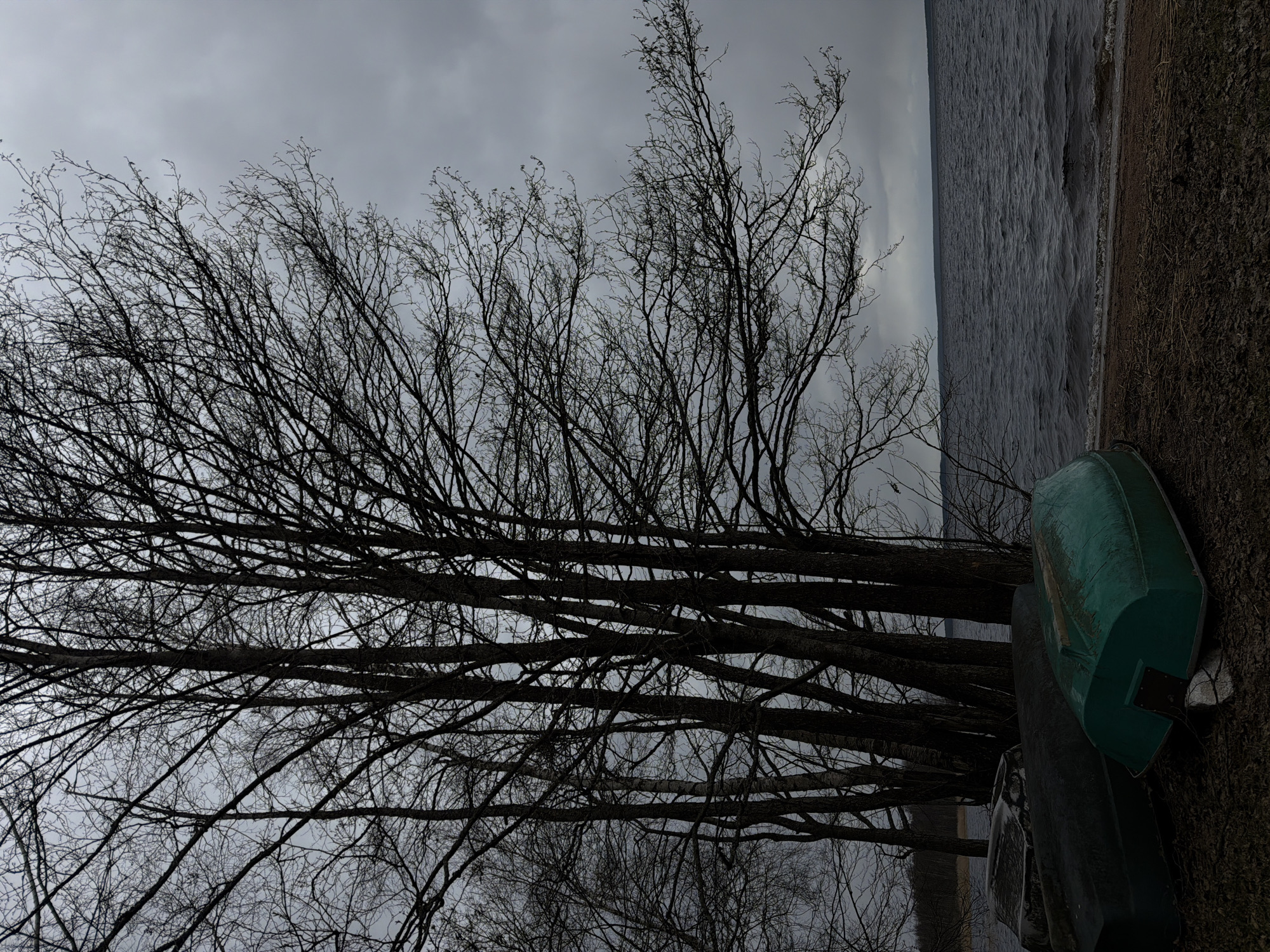 The image depicts a somber, overcast landscape, possibly near a lake or large body of water in Glubokoe, Russia. A dense network of leafless tree branches dominates the foreground against a grey sky. Two overturned boats, one green, rest on the shore near the tree line. The water is visible in the background, with a shoreline along the right edge of the frame. The overall scene evokes a sense of stillness and potentially cold weather.