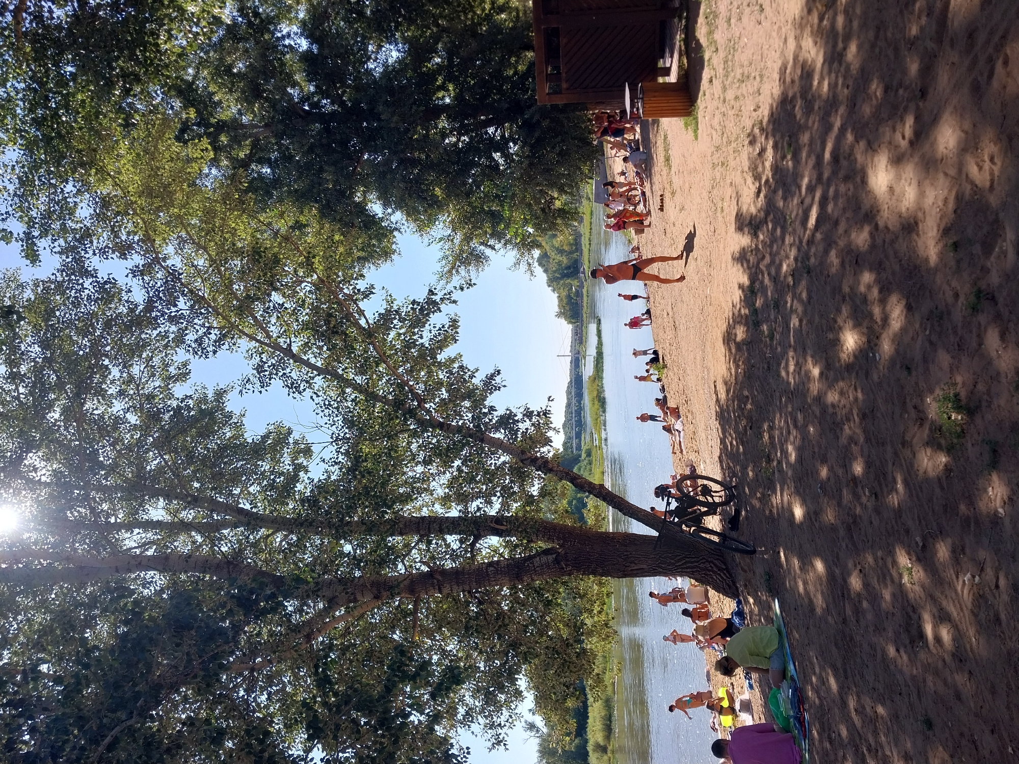The image depicts a sunny day at a beach along a river, likely the Ural River in Orenburg, Russia, given the context. A large tree with textured bark dominates the left side of the frame, casting shadows on the sandy beach. The river, a wide expanse of calm water, stretches across the background, with a distant treeline and a bridge visible on the horizon.
Numerous people are scattered across the beach, engaged in various activities. Some are sunbathing on towels, others are standing or walking along the water's edge, and a few are in the water. The attire suggests a warm day, with most individuals wearing swimwear.
Objects on the beach include a bicycle leaning against the tree, beach towels, and possibly some beach toys. To the right, a wooden structure, possibly a changing room or a small kiosk, is partially visible, with a trash bin nearby. The overall atmosphere is one of leisure and recreation on a summer day. The sunlight is bright, creating lens flare in the upper portion of the image and dappled shadows on the sand. The sky is clear and blue.