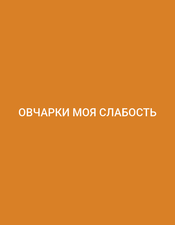 The image displays a solid orange background (#D97E2E). White, sans-serif text, centrally aligned horizontally, reads "ОВЧАРКИ МОЯ СЛАБОСТЬ" (Ovcharki Moya Slabost) in the lower-middle portion of the frame. This phrase translates to "Sheepdogs are my weakness" or "German Shepherds are my weakness." There are no people, other subjects, objects, actions, or interactions depicted. The image provides no visual information to determine a physical location, including the city of Biliaivka, Ukraine.