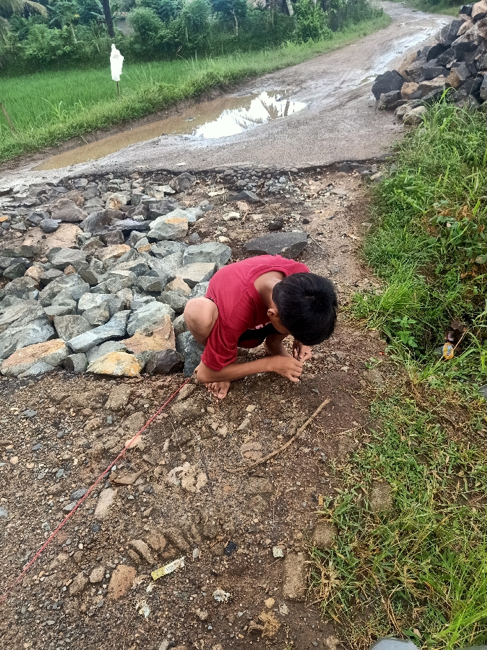 The image depicts a young boy squatting intently on a muddy, unpaved path in Pubian, Indonesia. He is barefoot, wearing a red short-sleeved shirt and dark shorts, with his hands close to the ground, appearing focused on something small in front of him.

The scene is a rural outdoor setting, characterized by a damaged road or path where sections have eroded. Large, angular rocks are piled along the edges, suggesting ongoing maintenance or an attempt to stabilize the path. To the left of the path, a vibrant green rice paddy extends, with a white plastic object or cloth tied to a pole visible within it. A significant muddy puddle on the road reflects the sky and surrounding foliage, indicating recent rainfall. The ground is a mix of dirt, small stones, and some scattered debris, including a thin red string or wire and a small stick near the boy. Lush green grass and tropical foliage border the path on the right side and stretch into the background.

The time of day appears to be daytime, with soft, diffused lighting, possibly due to an overcast sky or late afternoon. The overall atmosphere suggests a quiet, humble environment where the boy is engaged in a solitary activity amidst the natural surroundings. A small piece of yellow material with illegible text is visible on the ground.