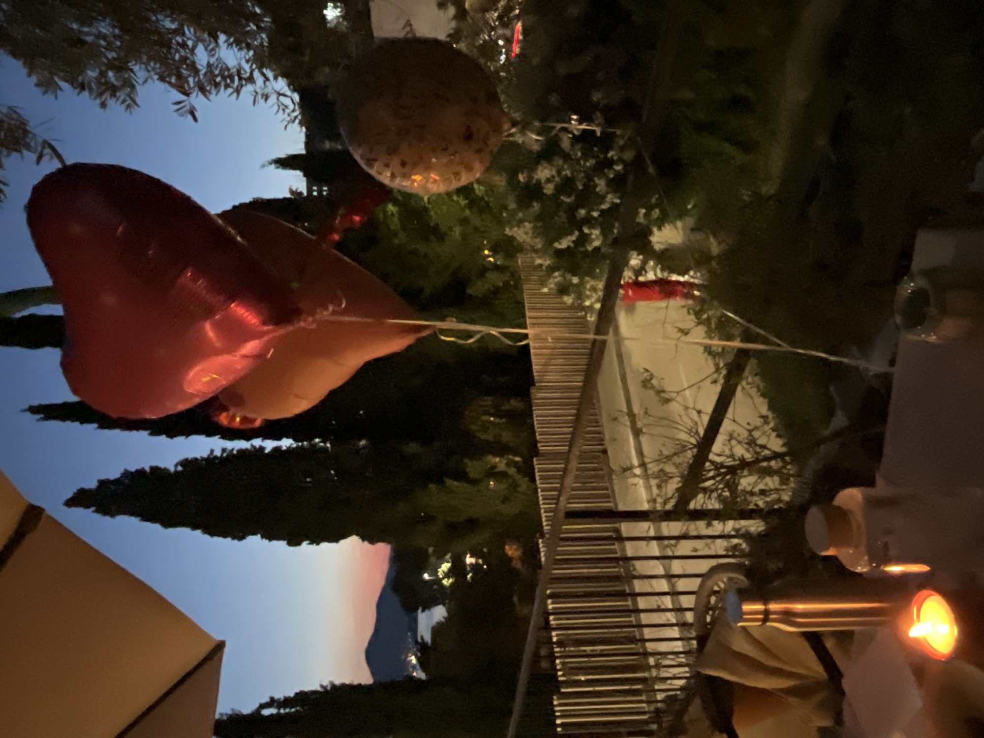 This is a vertical, dimly lit nighttime photo taken outdoors. The subjects are primarily balloons, with one heart-shaped red balloon prominent in the foreground, appearing to be tethered by a thin white string. Another round, patterned balloon is visible in the midground, also tethered. The scene suggests a festive or celebratory occasion.
The setting appears to be a natural outdoor environment with trees and foliage in the background, suggesting a garden, park, or backyard. In the midground, there is a railing or fence, possibly part of a balcony or patio. Beyond that, a dimly lit road or pathway is visible, with some illuminated windows in buildings further in the distance. The sky is a deep blue, transitioning to lighter hues at the horizon, indicating it's either dusk or dawn. There are hints of mountainous terrain and distant lights, suggesting a scenic location, potentially near a body of water. The presence of a lit candle or lantern in the bottom right corner further adds to the nighttime atmosphere, casting a warm glow.
The overall mood conveyed is somewhat whimsical due to the balloons, but the low light and outdoor setting at night create a sense of intimacy or quiet celebration. There is no visible text in the image.