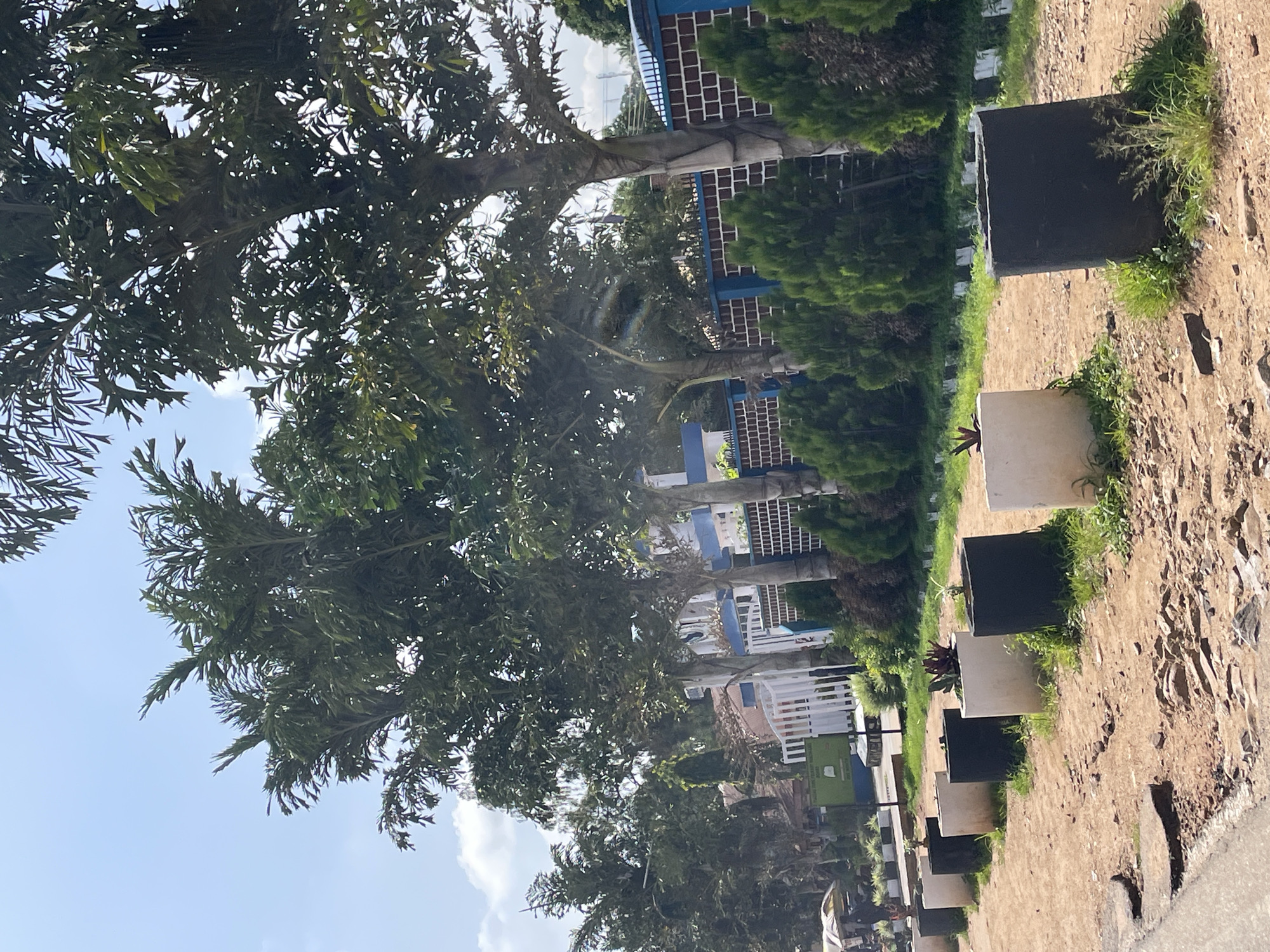 The image captures a street scene in Jos, Nigeria, under a bright, partly cloudy sky. The foreground features a dirt and gravel road with a cracked asphalt edge on the left. A line of square concrete planters, some black and some white, are arranged along the side of the road, with sparse vegetation growing around some of them. Behind the planters, a paved path runs parallel to a brick wall topped with a blue and white railing. Several trees with distinctive textured trunks and lush green foliage are planted in front of the wall, with more dense green bushes lining the base of the wall. In the background, a building with white and blue accents is visible, along with a white gate and a green sign. The overall impression is of an urban street lined with landscaping and a building. There are no people clearly visible in the image.
