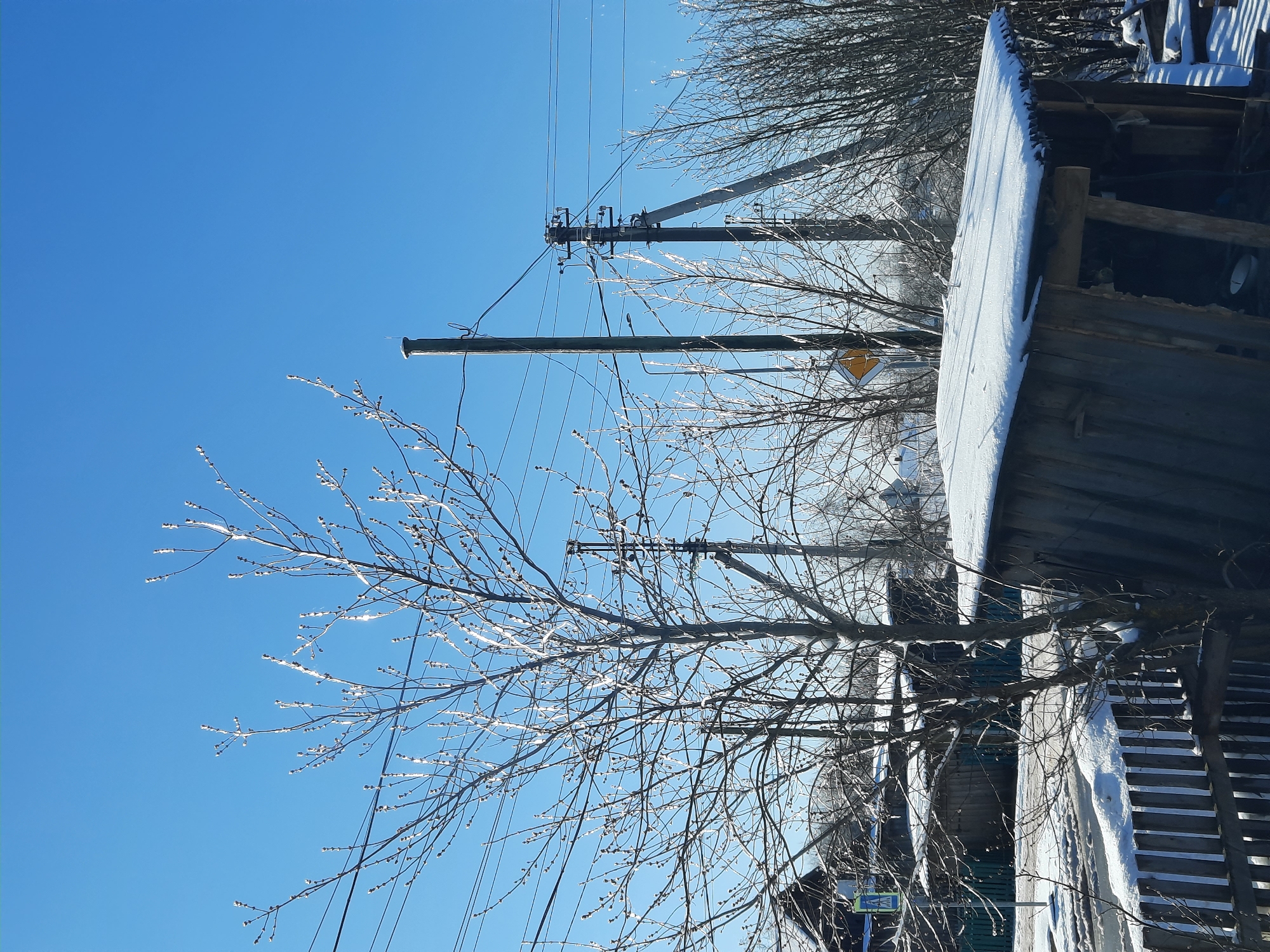 The image shows a winter scene in what appears to be a residential area of Krasnogorskoye, Russia. The sky is a clear, bright blue. Several bare trees with icy twigs stand in the foreground and midground. Utility poles with power lines are visible in the background. Part of a weathered, wooden structure with snow on the roof is on the right side of the frame.