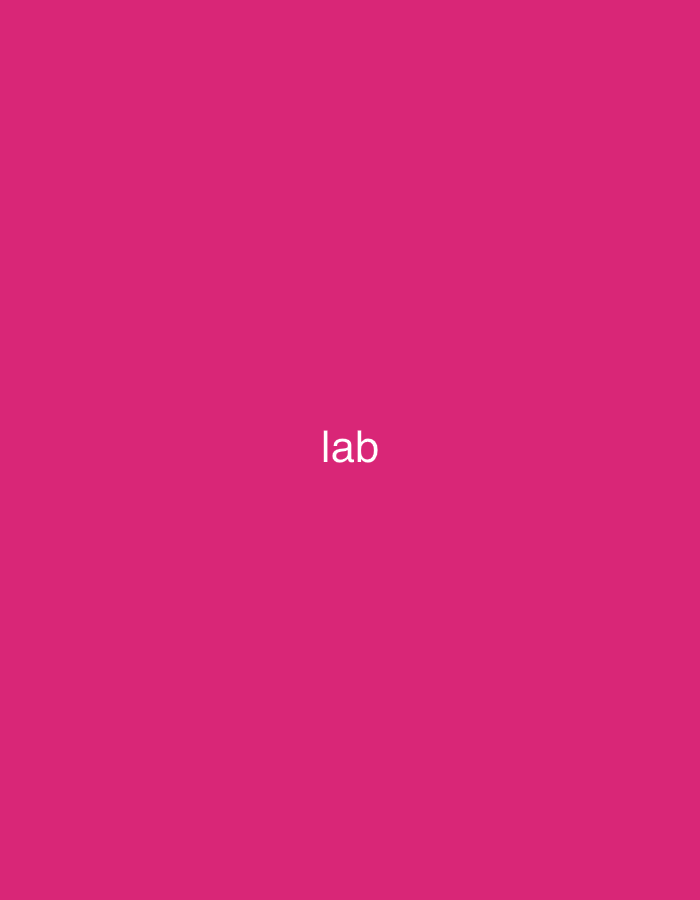 The image features a solid, vibrant magenta background devoid of any discernible textures or patterns. Centered horizontally and positioned slightly above the vertical midpoint, the word "lab" is rendered in plain white, lowercase sans-serif typography. No other subjects, objects, people, actions, or environmental details are depicted within the frame. The specified location is Casablanca, Morocco.