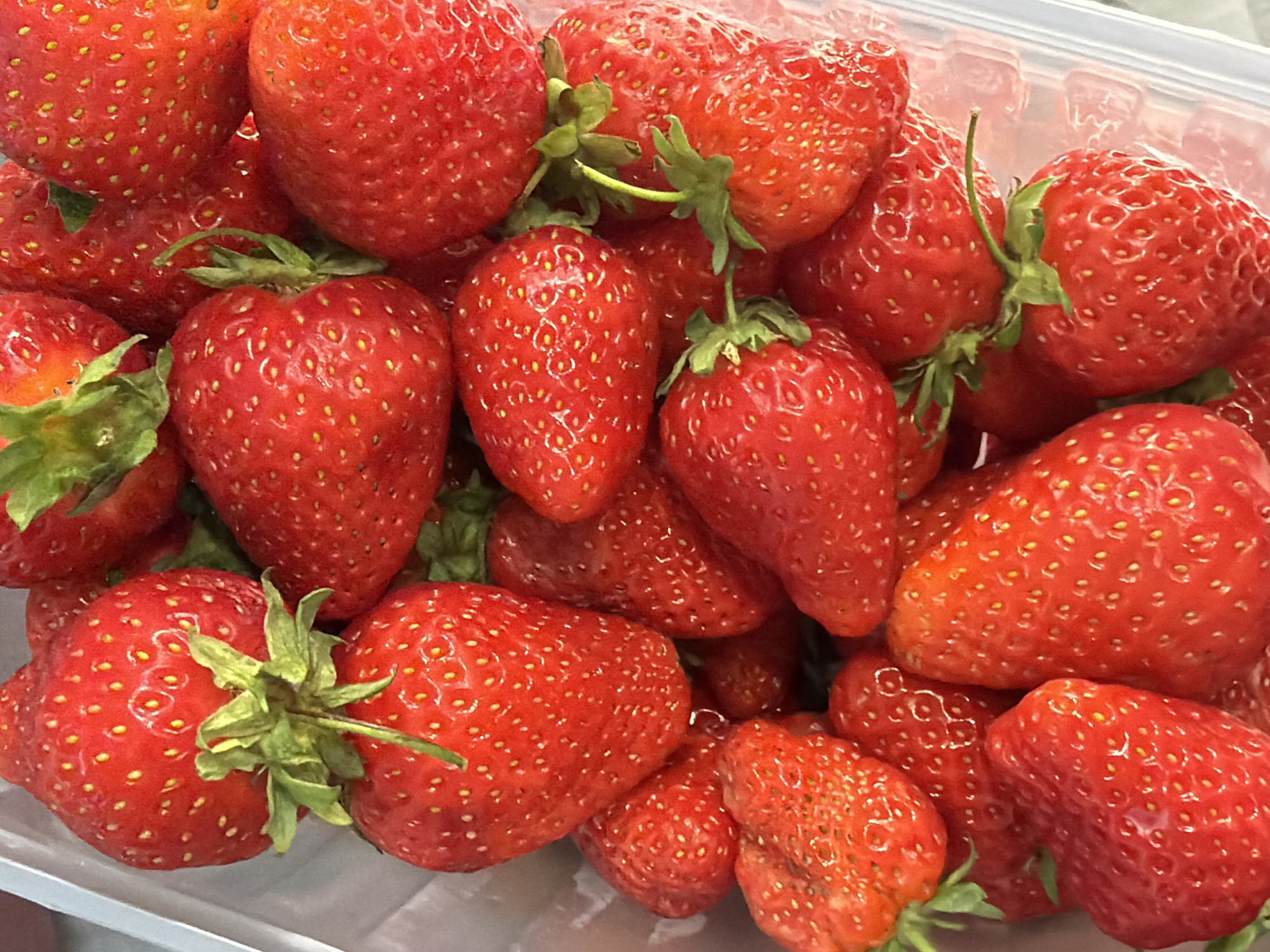 A close-up, overhead shot displays a translucent plastic container filled with ripe, red strawberries. The strawberries are plump and appear fresh, with their characteristic seeds dotting their surfaces. Some strawberries have green stems and leaves attached. The lighting is bright and even, suggesting the photo was taken indoors with artificial light or on an overcast day. There are no people or other objects visible in the frame, and no text is present. The overall scene is one of abundance and natural freshness, highlighting the vibrant color and texture of the fruit. The shallow depth of field blurs the background, focusing all attention on the strawberries.