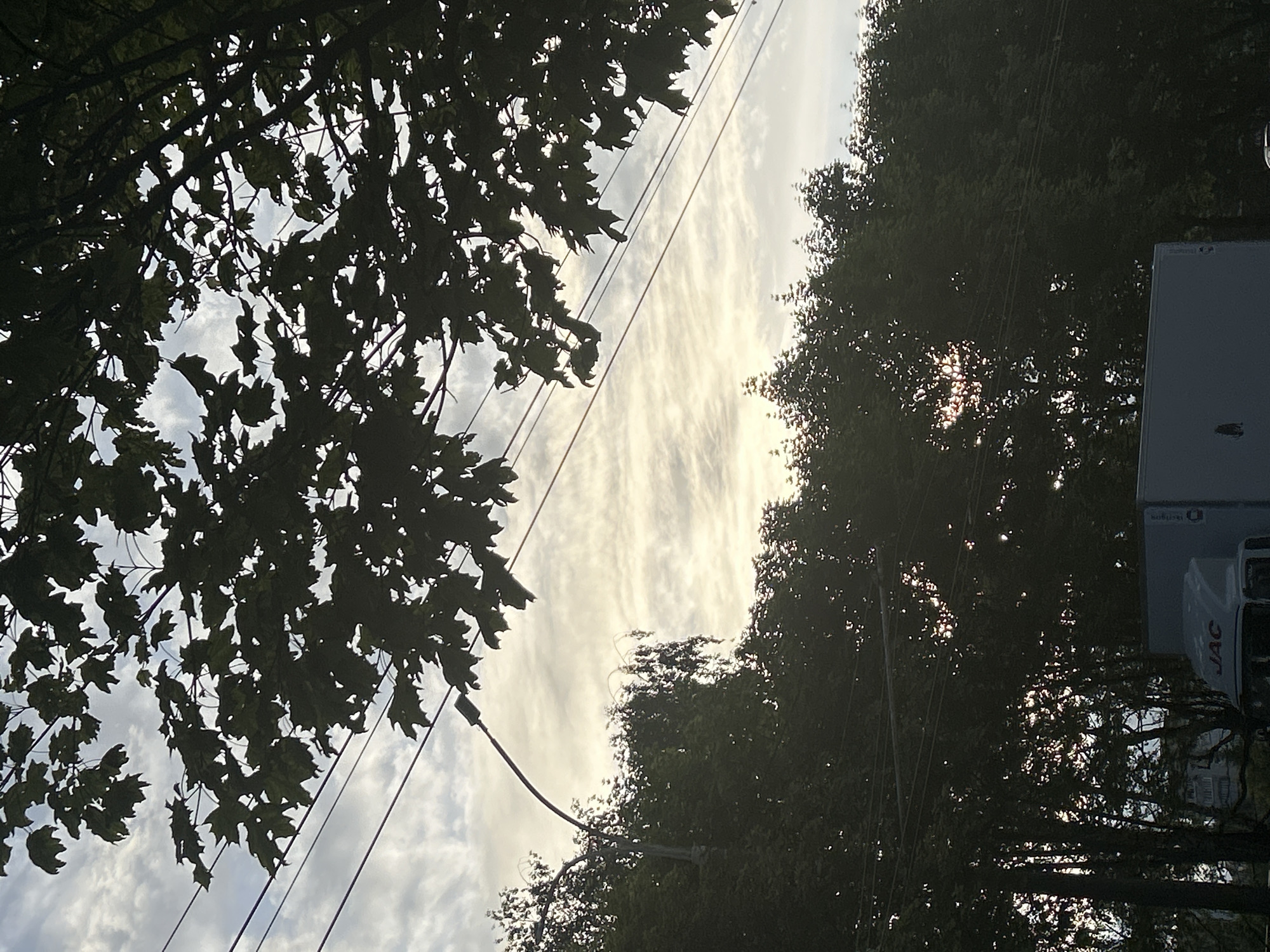 The image shows a view looking up through tree branches towards a sky filled with thin, wispy clouds. The sun is diffused by the clouds, creating a bright, hazy light. In the foreground, dark silhouettes of leaves and branches are prominent, obscuring parts of the sky. Power lines crisscross the frame diagonally. On the right side of the image, the edge of a white truck is visible, with the "JAC" logo clearly printed on its side. The overall impression is of an outdoor scene, possibly a street or roadside, during daytime. The dappled sunlight filtering through the leaves suggests it might be late afternoon or early morning. The presence of trees and the truck indicates an inhabited or accessible area. No people are visible.
