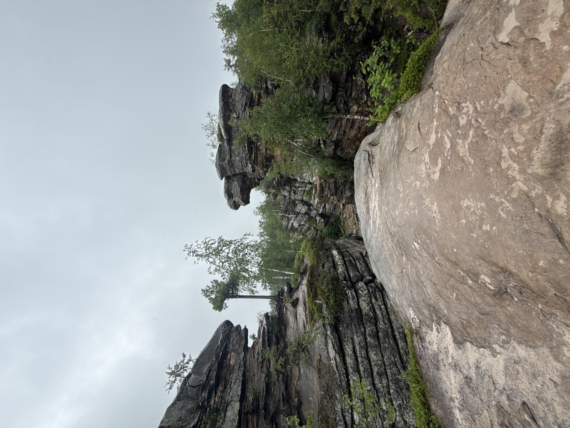 The image captures a natural landscape characterized by weathered rock formations and lush greenery under an overcast sky. The foreground features a large, flat, tan-colored rock surface, textured with lighter and darker streaks. This rock slopes upwards and to the right, leading the eye towards the middle ground.
In the middle ground, imposing rock cliffs rise, composed of layered, dark gray stone. These formations exhibit rugged textures and appear eroded by time and elements. Small trees with slender trunks and light green foliage are interspersed among the rocks, with some growing precariously from crevices. The trees include birches with their distinctive white bark, as well as other deciduous varieties.
The background is dominated by a dense forest of green trees, suggesting a natural, undeveloped area. The sky is a uniform pale gray, indicating cloudy or overcast conditions, and small white specks visible in the air suggest light precipitation, such as rain or snow.
To the far right, a solitary figure can be seen from behind, wearing dark clothing and standing amidst the foliage. This person appears to be observing the landscape or walking along a trail.
The scene conveys a sense of wild, untamed nature, with the rock formations being the dominant geological features. The overall atmosphere is serene yet dramatic due to the scale and texture of the rocks. The location is identified as being within the city of Shumikhinskii, Russia.