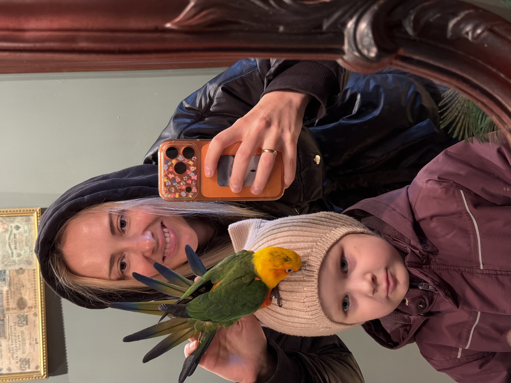 An indoor mirror selfie captures a woman and a young child interacting with a colorful parrot. The woman, positioned to the left, has blonde hair and a bright smile, wearing a black hooded jacket. She holds an orange smartphone with a playful, patterned case in her right hand, visible in the mirror's reflection. A golden ring is on her right ring finger. A vibrant parrot, featuring a yellow-orange head, green body, and dark blue-black tail feathers, is perched on her left hand, which is held close to the child.
To the right is a young child, wearing a cream-colored knitted hat and a maroon or purple hooded winter coat. The child has large blue eyes and a neutral, curious expression, looking directly towards the camera. The parrot's feet are lightly resting on the child's hat. The ornate dark wood frame of the mirror is visible along the top and right edges of the image. In the background on the left, a framed picture hangs on a light green wall, displaying what appears to be old documents or currency notes with faint, indecipherable Cyrillic-like text. The scene is cheerful and suggests a casual moment, likely taking place in Khimki, Russia, with the clothing indicating colder weather.
