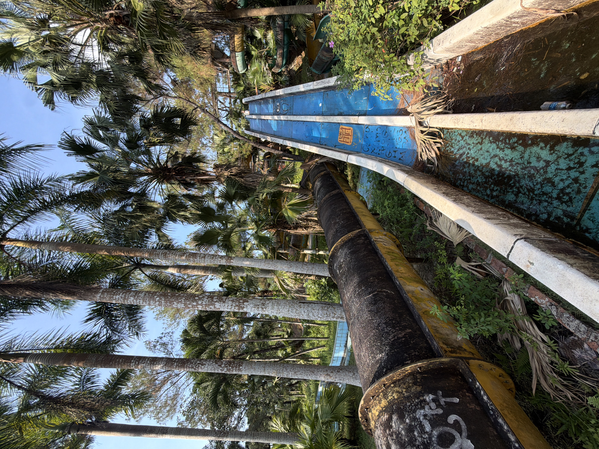 The image depicts an abandoned water park in Thủy Xuân Ward, Vietnam. The scene is dominated by overgrown palm trees and decaying water slides. The slides are constructed of concrete and metal, with faded blue paint and visible graffiti. Sections of the slides are filled with stagnant water and debris. Vegetation grows around and within the structures, indicating neglect and disuse. The sky is visible through the palm fronds, suggesting a sunny day. The overall atmosphere is one of decay and abandonment.