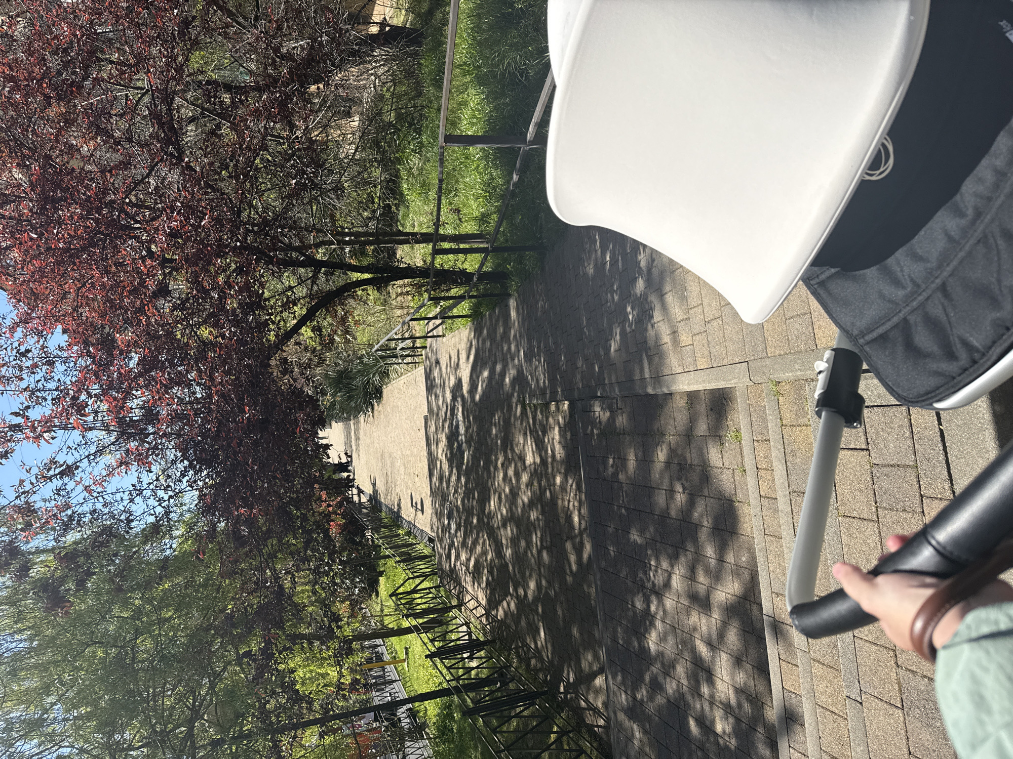 The image depicts a person pushing a baby stroller along a brick-paved path. The path leads toward a distant area, shadowed by trees and sunlight. On the left, trees with red and green foliage grow. A metal railing separates the path from a grassy area. The path appears to be lined with shadows from the overhead trees. The location of Sochi, Russia cannot be determined from this image alone.