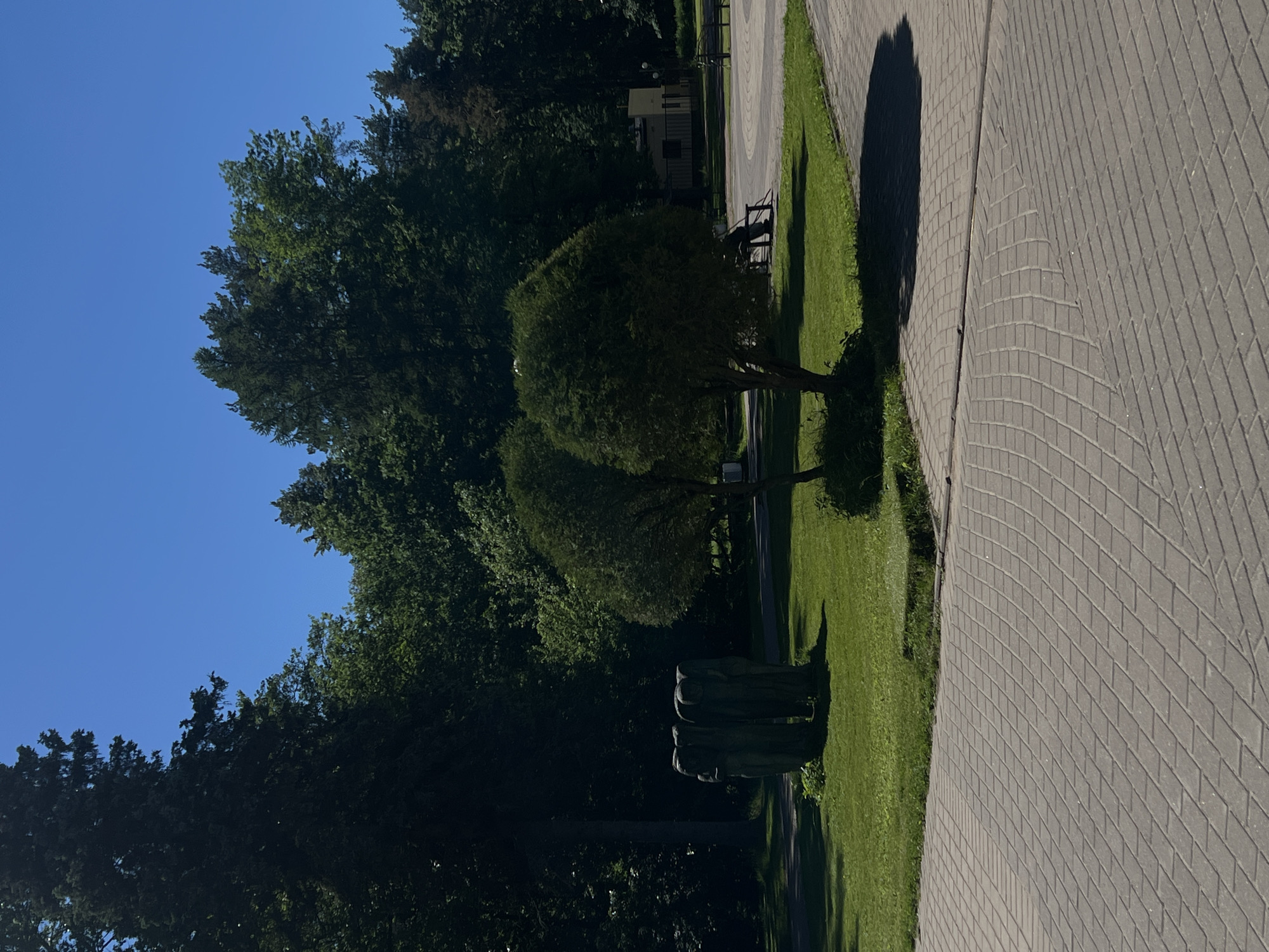 The image depicts a park-like setting in Zelenogorsk, Russia, on a clear, sunny day. In the foreground, a paved walkway with a distinctive curved pattern is visible. Beyond the walkway, a well-maintained lawn features a sculpture of three figures, appearing to be made of dark, weathered material. Two round, bushy trees stand on the lawn, casting shadows. In the middle ground, a person is seated on a park bench, facing away from the camera, with their back to the trees. Further in the background, a small building with a beige facade and a dark roof is situated amongst lush green trees. The scene is bathed in bright sunlight, creating strong shadows.