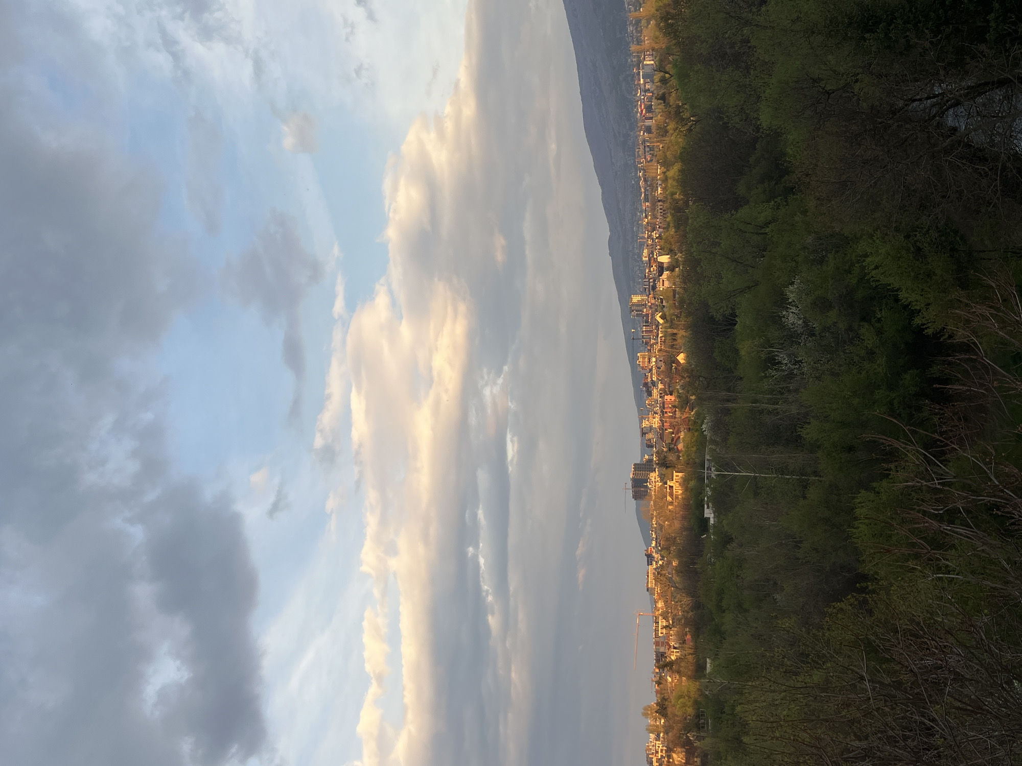 The image presents a panoramic landscape view, currently rotated 90 degrees clockwise, depicting a city nestled against a mountain range under a partly cloudy sky.
In the foreground, a dense band of deciduous trees, some with bare branches and others showing early signs of spring foliage, runs along what appears to be a riverbank or green space. Glimpses of water may be visible through the trees.
Beyond this green area, an urban sprawl of buildings, including residential structures and possibly commercial ones, stretches towards the base of a mountain. Many of these buildings are bathed in a warm, golden light, suggesting either late afternoon/early evening (golden hour) or early morning. At least two construction cranes are visible among the city's structures, indicating ongoing development.
In the mid-ground, a dark, undulating mountain range forms the distant horizon. The sky above features a mix of light blue patches and various clouds. Some clouds are brightly illuminated with a golden hue from the sun, while others appear darker and grey, creating a dynamic atmospheric effect.
No specific human activity is depicted. The weather is partially cloudy with clear sun. The warm lighting points to the "golden hour." There is no visible text. The scene captures the interface between urban development and natural landscape, consistent with the location of Sofia, Bulgaria.