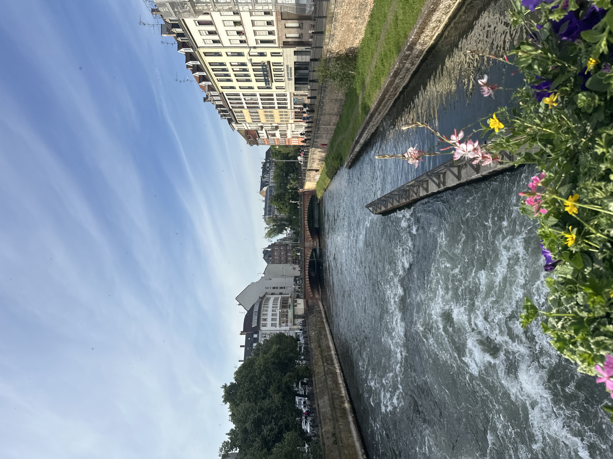 The image shows a canal in Strasbourg, France, likely the Barrage Vauban. A strong current flows through the canal, with a partially submerged structure visible mid-channel. Buildings line the canal on both sides, ranging from older structures with visible roof tiles to more modern, multi-story buildings with rows of windows. Along the canal edge, there is a grassy area and stone or concrete walls. In the foreground, flowers are visible, adding a touch of color. The sky above is mostly clear with light clouds.