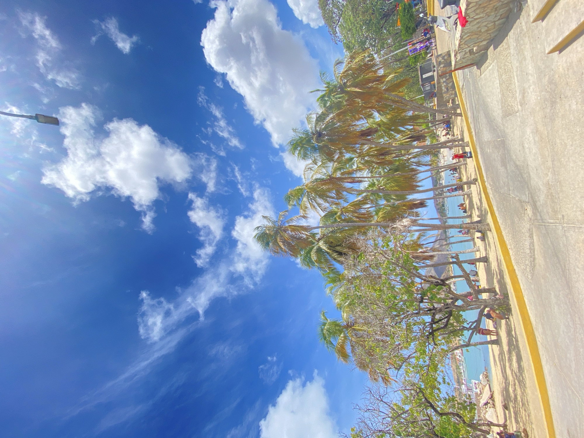 The image depicts a coastal scene in Juan Griego, Venezuela, characterized by a bright blue sky with scattered white clouds. A row of palm trees lines a beach where people are engaging in various activities. Adjacent to the beach is a concrete pathway with a yellow curb. The scene is captured from a tilted perspective, which emphasizes the height of the palm trees and the expansive sky.