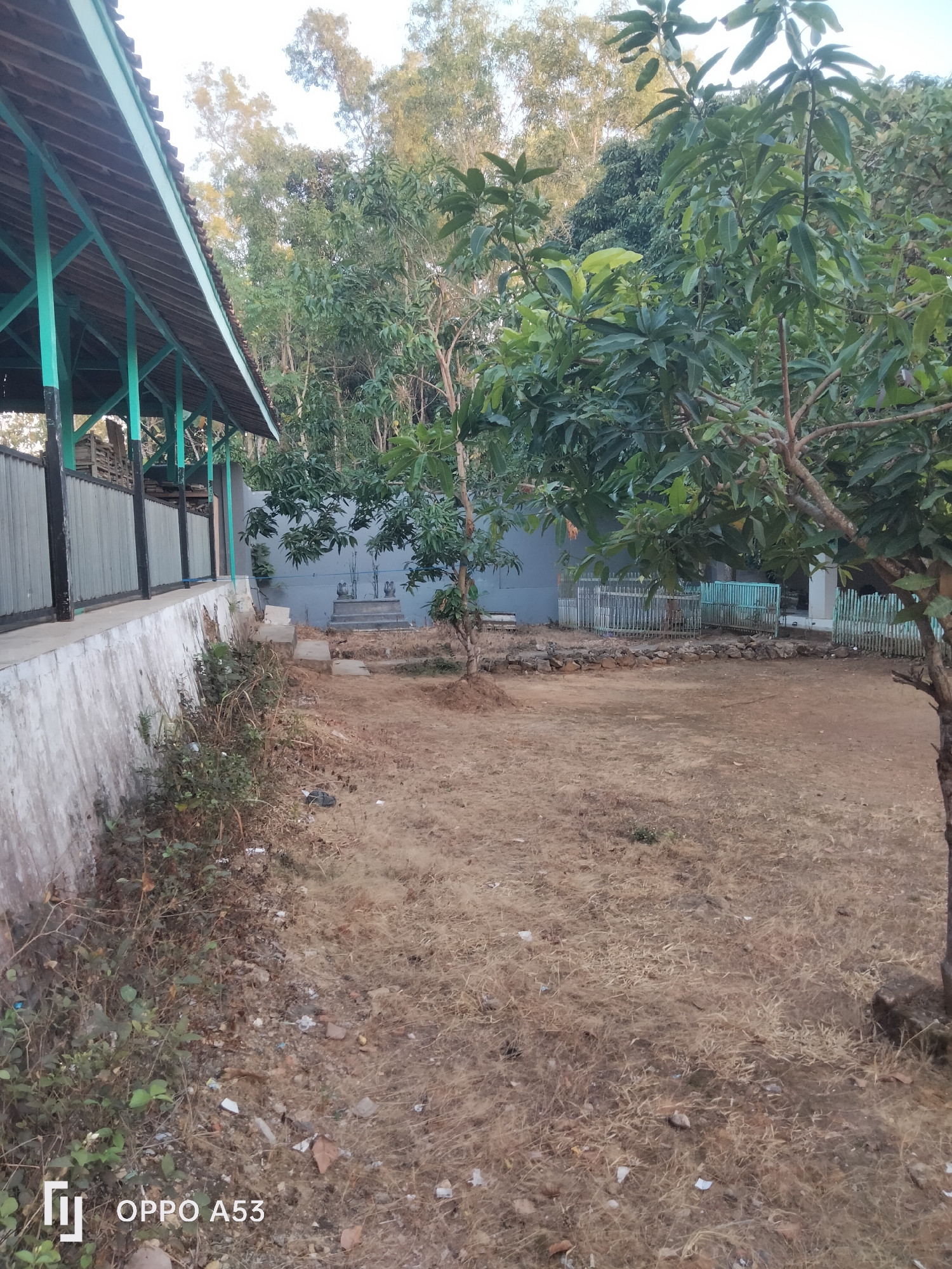 The image shows an outdoor scene at what appears to be a public area or a communal space in Badung, Indonesia. The foreground is dominated by dry, sparse vegetation and dusty ground, with some scattered debris. To the left, there is a concrete wall with an adjacent structure that has a covered, open-air roof supported by green pillars. This structure extends out of frame to the left. Beyond the wall and the dry ground, there are various trees and some fencing. In the midground, there are several small, fenced enclosures, possibly for animals or small structures, some with teal-colored fencing. Behind these, a grey wall is visible. The background consists of lush green trees and foliage, suggesting a tropical environment. The lighting indicates it is daytime, possibly late afternoon due to the warm tones. There are no people visible in the image. The overall impression is a somewhat neglected or undeveloped outdoor space adjacent to a building or shelter.