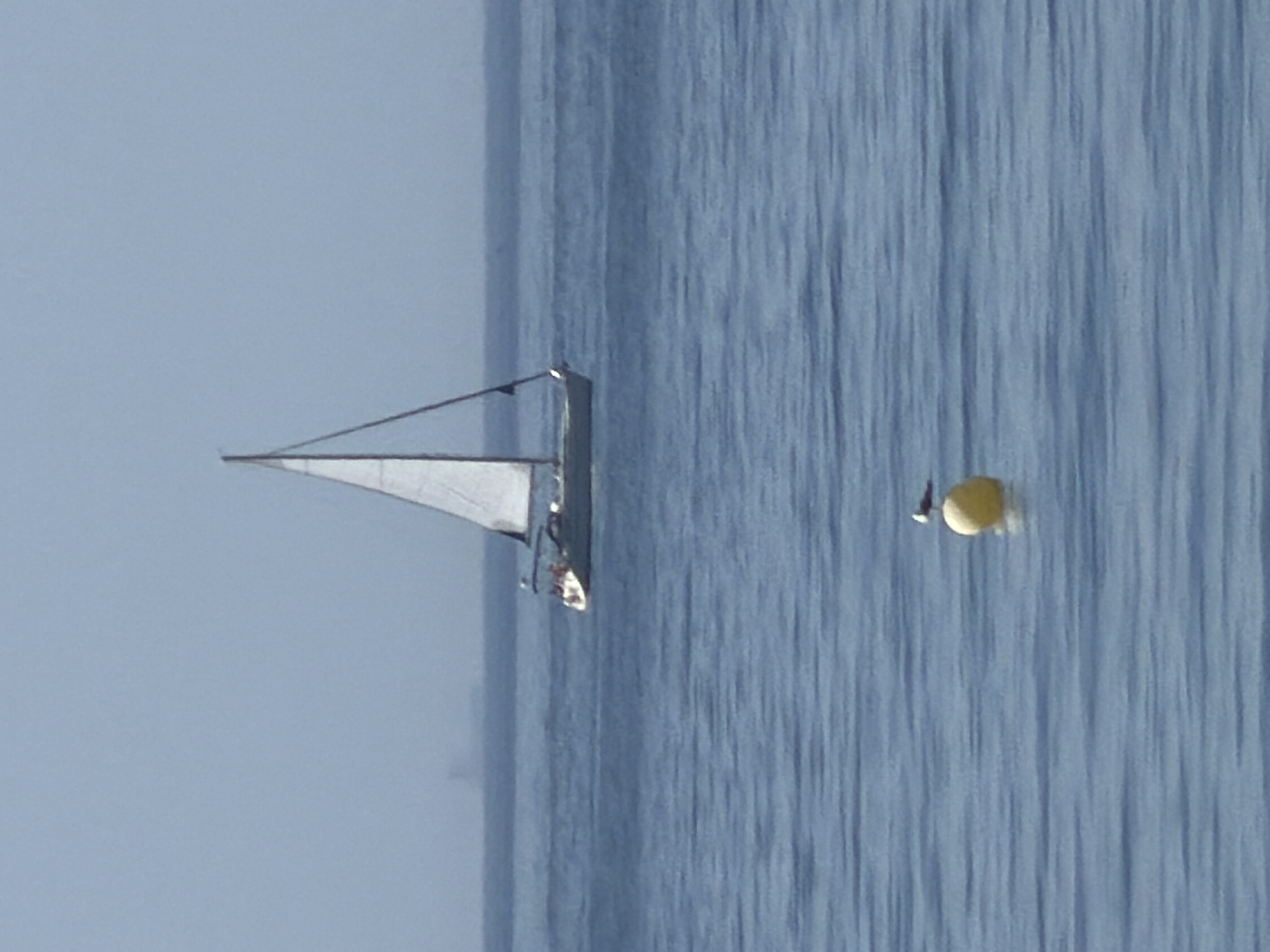 The image depicts a serene seascape with a sailboat navigating calm blue waters under a hazy sky. In the foreground, a yellow buoy floats, with a single bird perched on top. The sailboat, with its white sails unfurled, is positioned further out at sea. The distant horizon shows a faint outline of land, possibly the coast of Estepona, Spain, with subtle structures visible. The overall impression is one of tranquility and a peaceful day at sea.