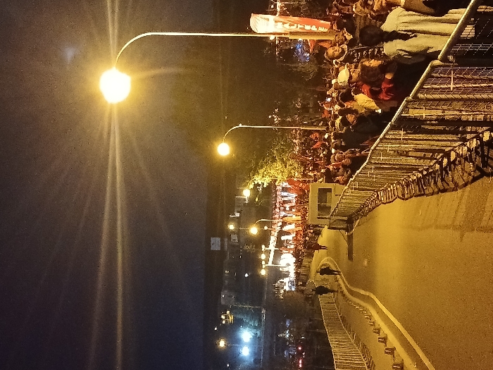 The image captures a nighttime scene in Istanbul, Türkiye, at the coordinates 41.083 latitude and 28.677 longitude. A large crowd of people is gathered behind a metal fence along a paved path that winds through a park. Several streetlights illuminate the scene, casting a warm glow on the crowd. Some people are wearing hats and jackets. There are signs and banners in the background. The street is lined with trees on either side. The sky is dark and clear. The camera is positioned at the end of the path looking down at the crowd. There are two figures walking on the path, one is walking toward the camera and the other is walking away. There is a security booth in the middle ground. The image was taken at night.